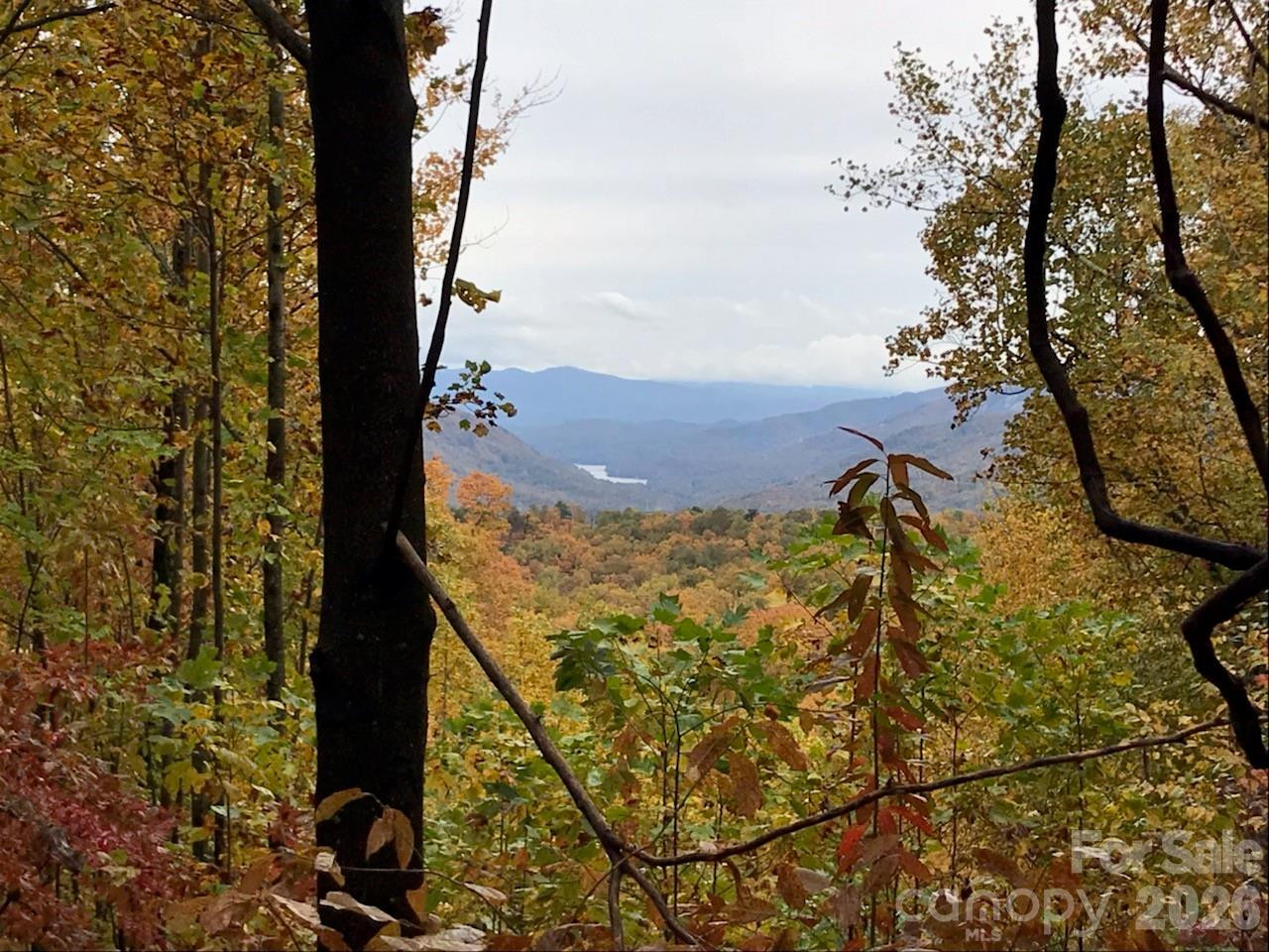 100 Wolf Pen Road - Photo 3