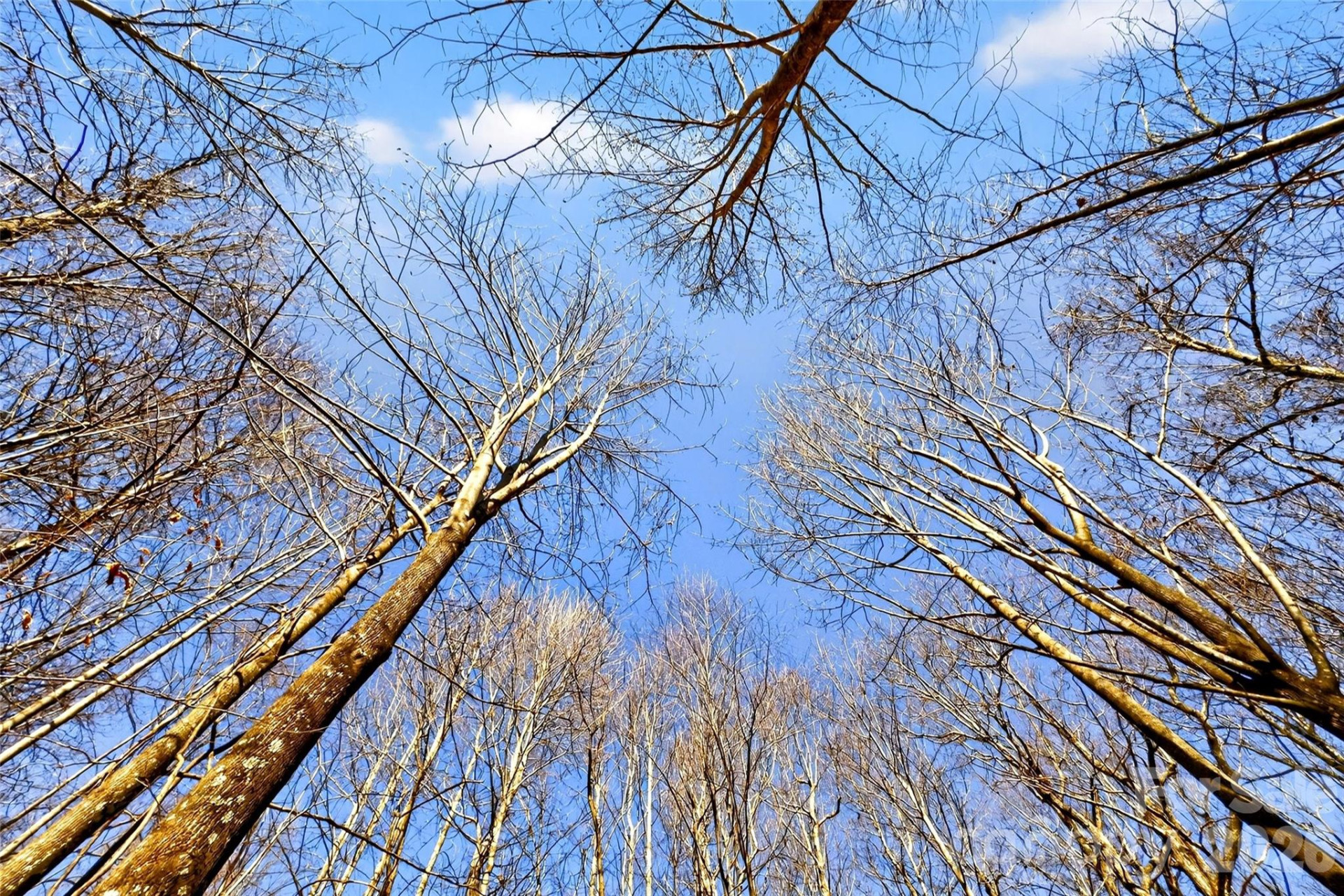 100 Wolf Pen Road - Photo 21