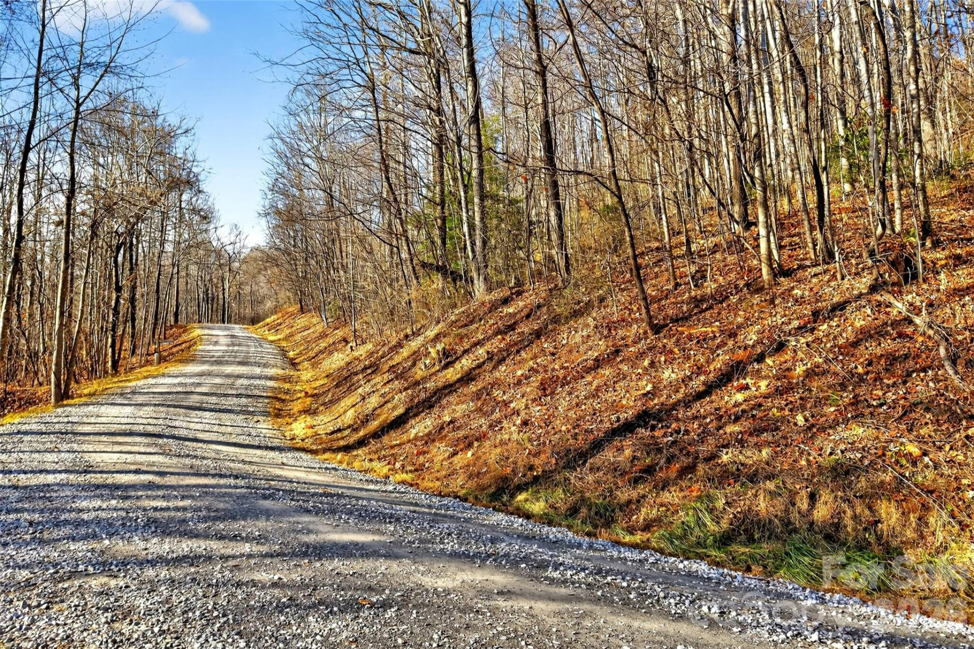 100 Wolf Pen Road - Photo 22