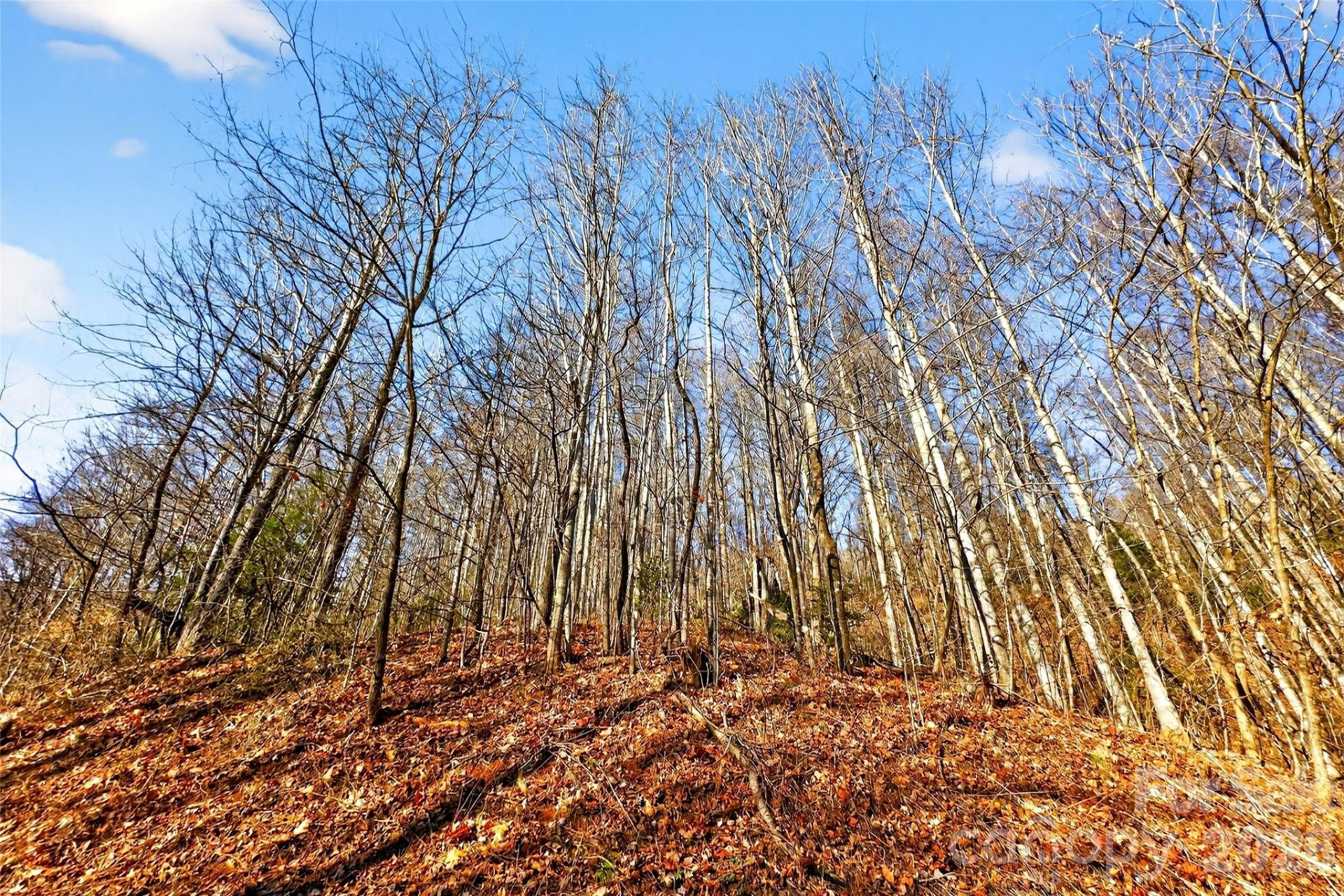 100 Wolf Pen Road - Photo 23