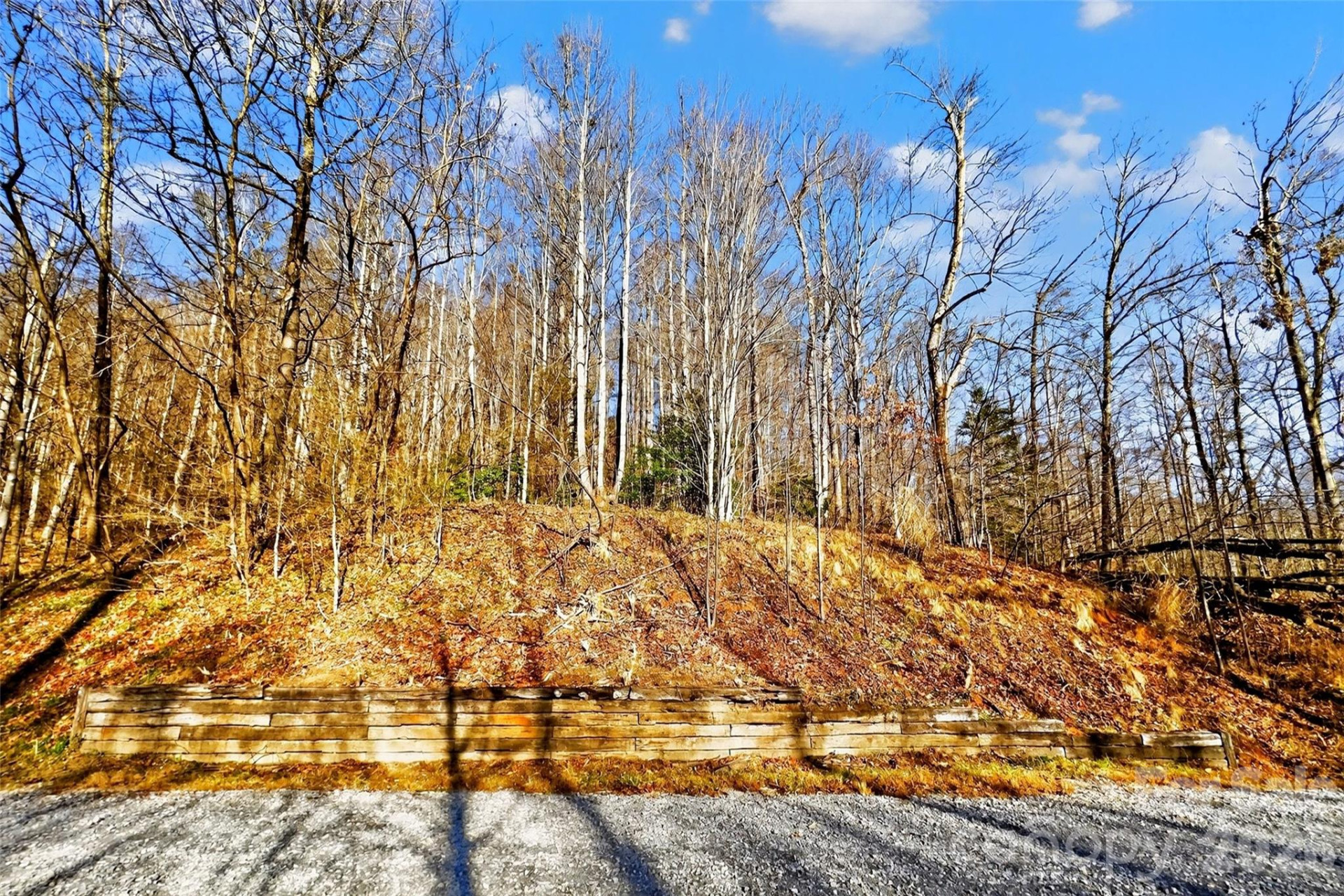 100 Wolf Pen Road - Photo 24