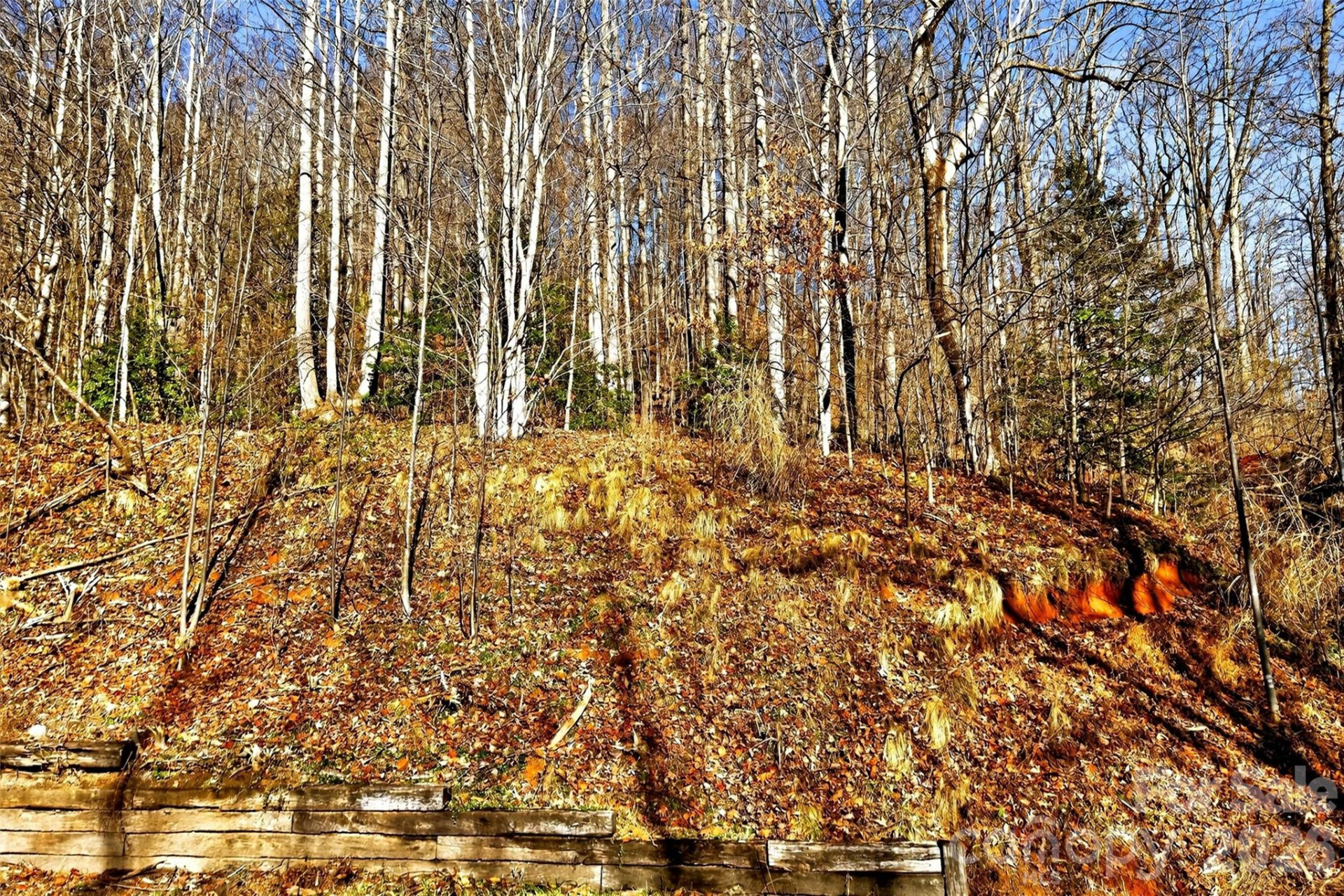 100 Wolf Pen Road - Photo 25