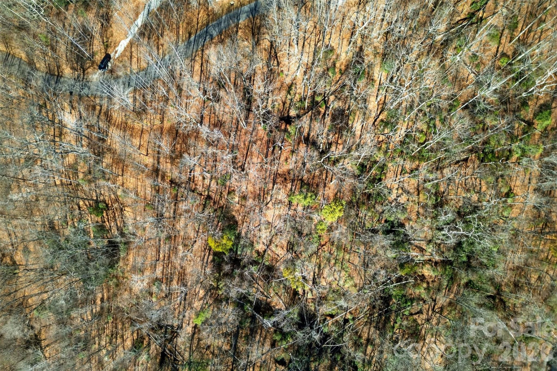 100 Wolf Pen Road - Photo 26