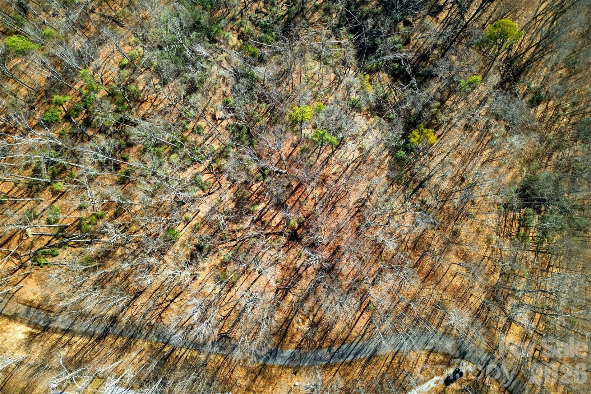 100 Wolf Pen Road - Photo 27