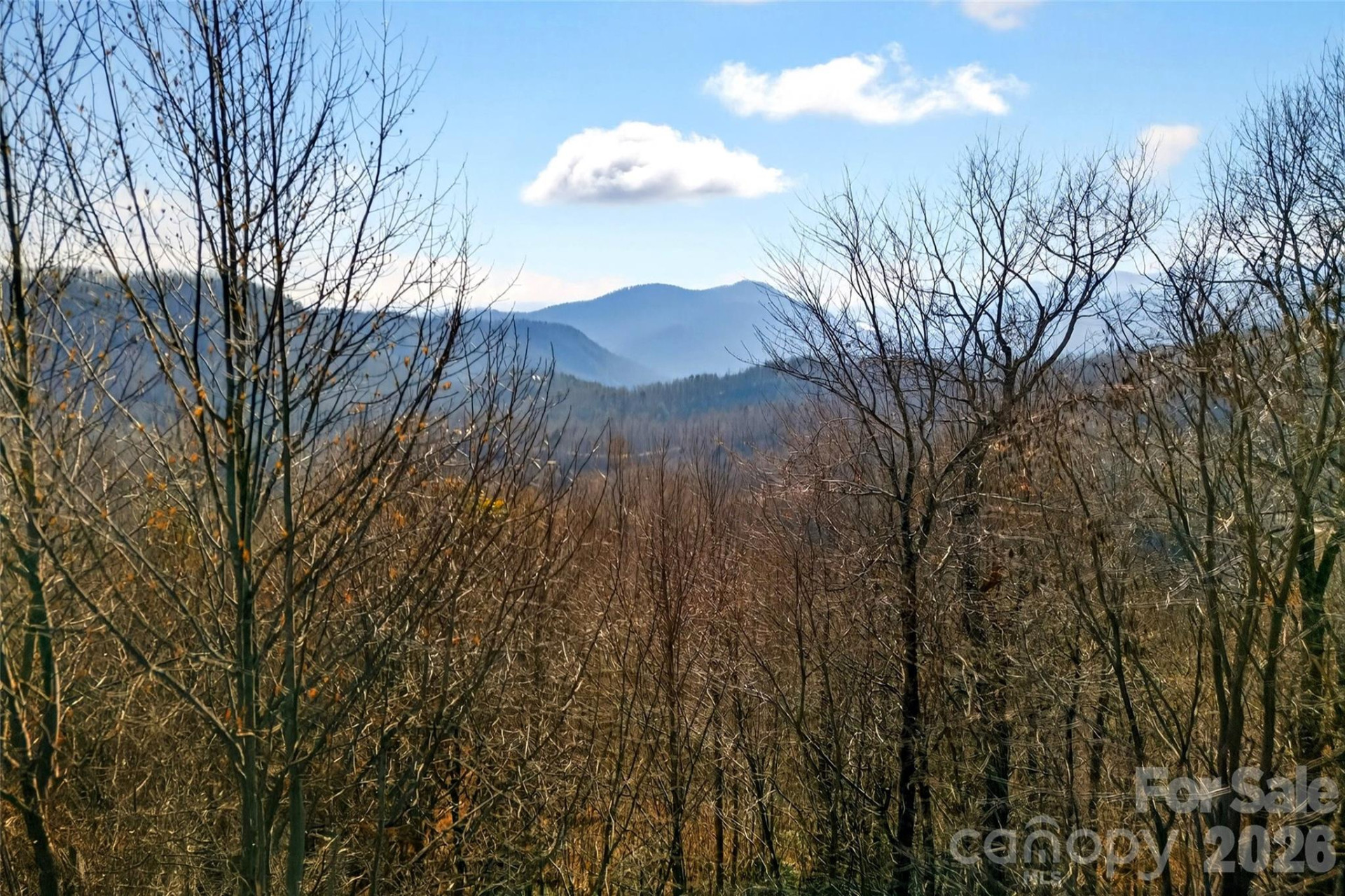 100 Wolf Pen Road - Photo 29