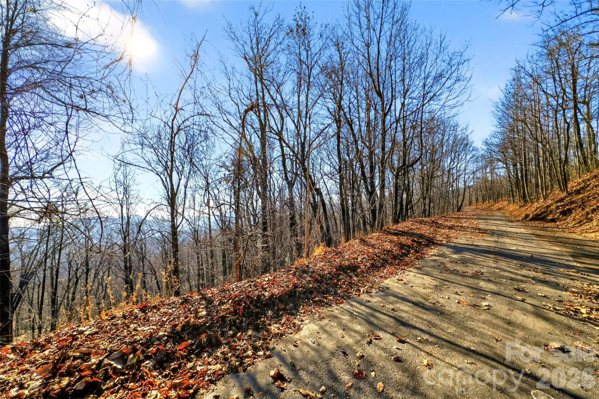 100 Wolf Pen Road - Photo 4