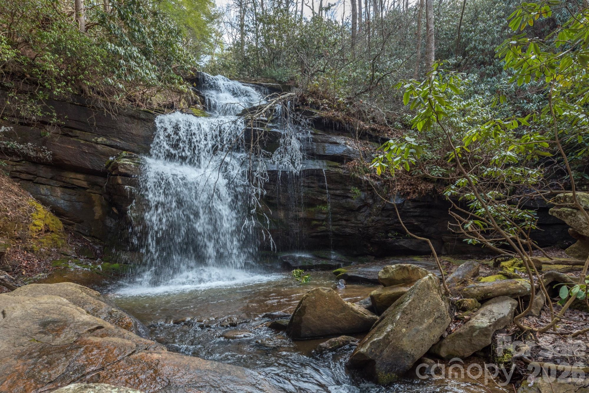 100 Wolf Pen Road - Photo 35