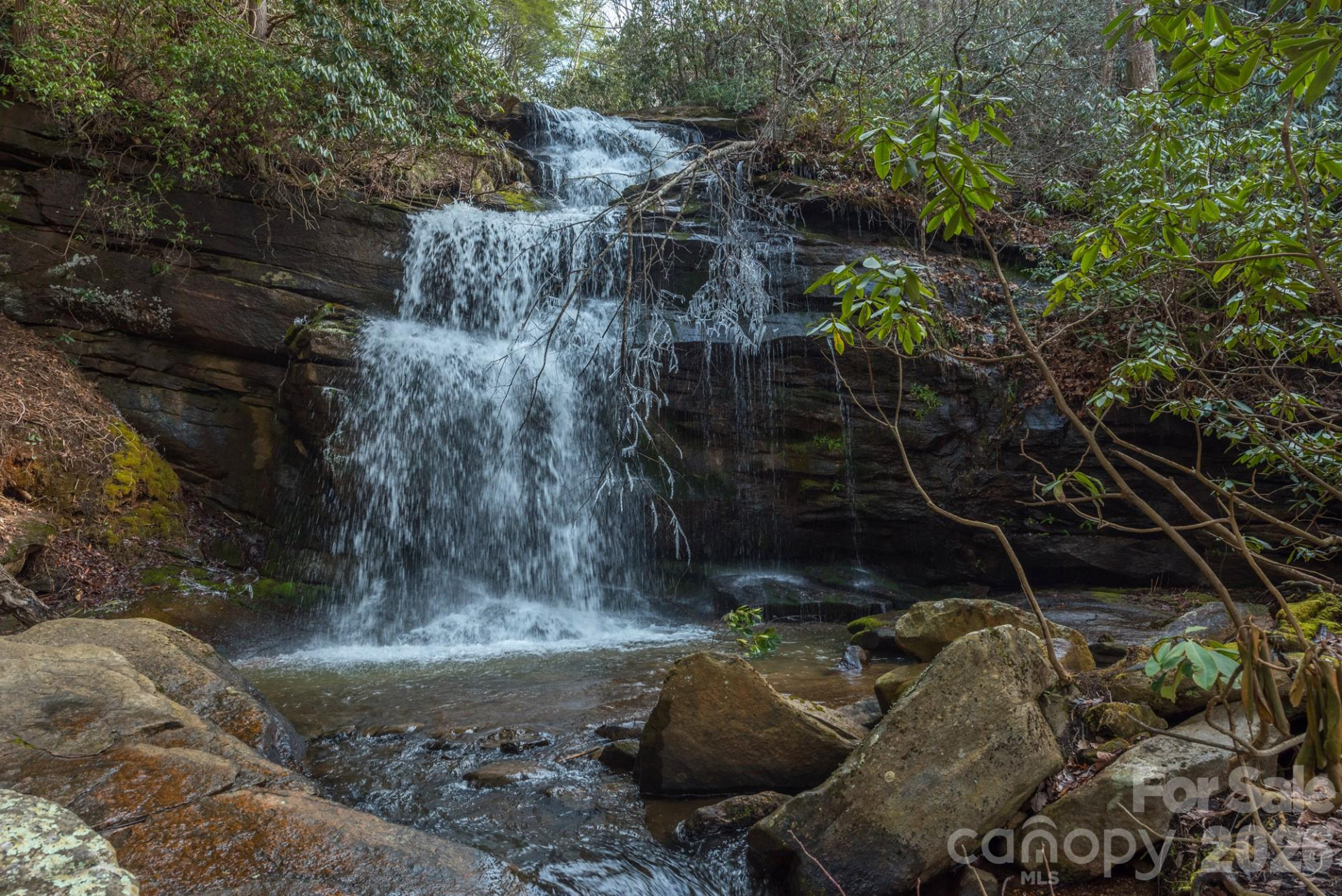 100 Wolf Pen Road - Photo 36