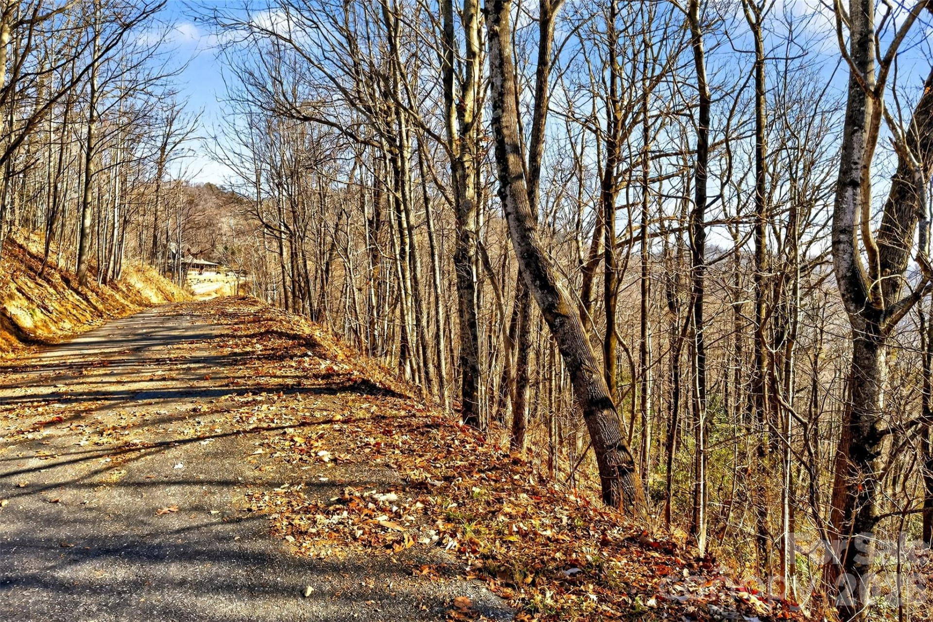 100 Wolf Pen Road - Photo 6