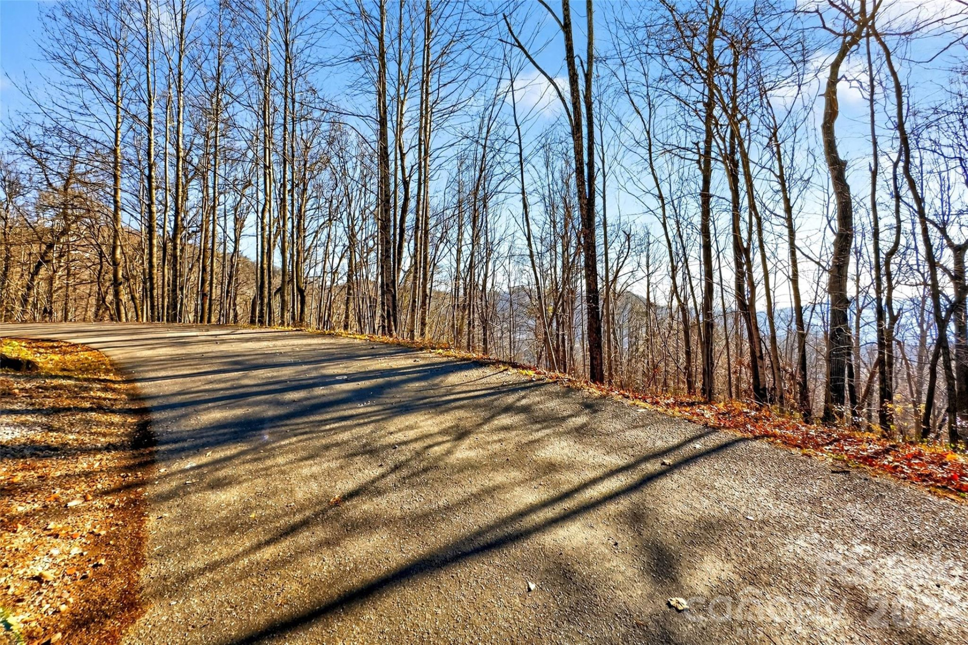 100 Wolf Pen Road - Photo 7