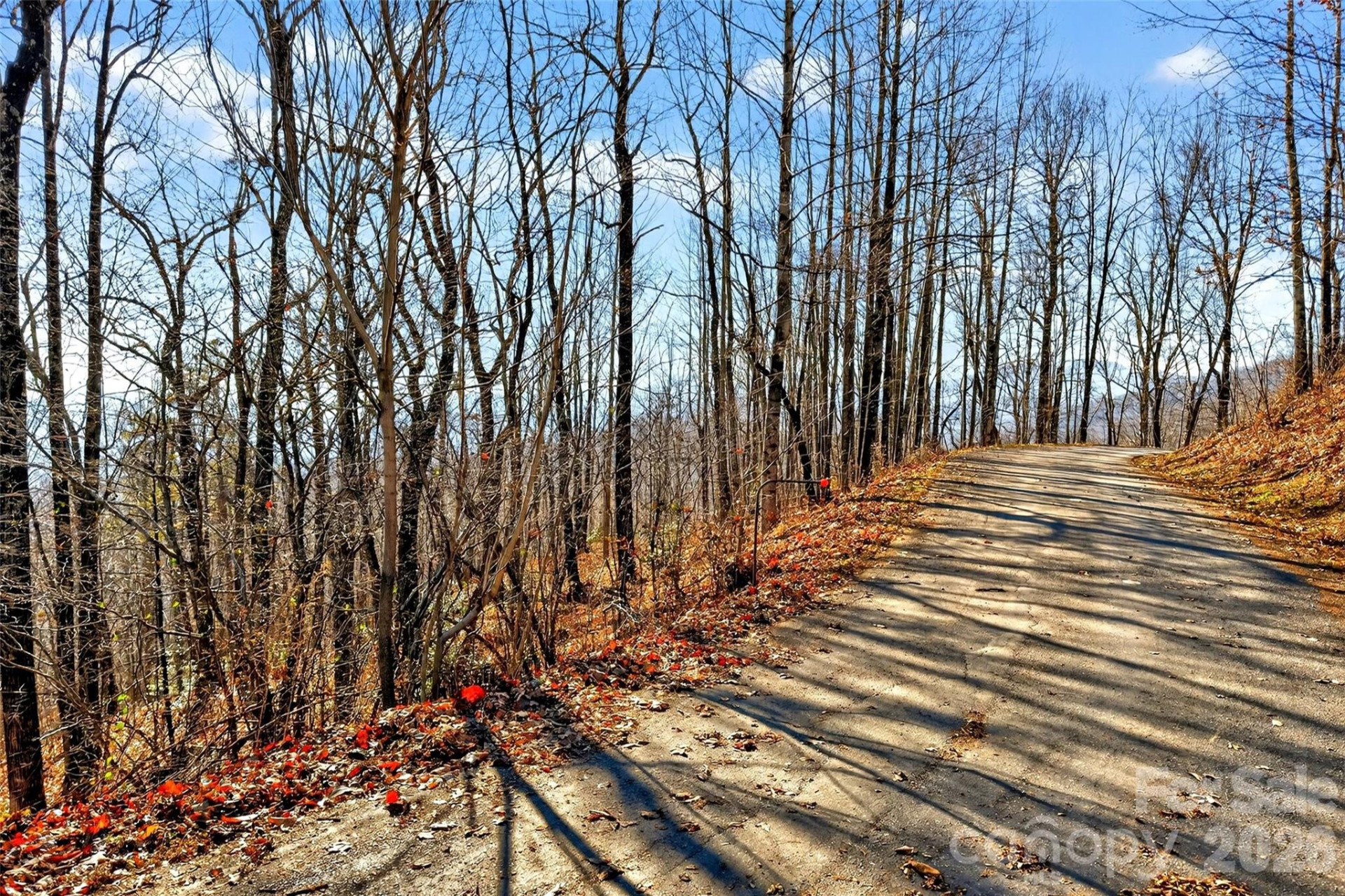 100 Wolf Pen Road - Photo 8