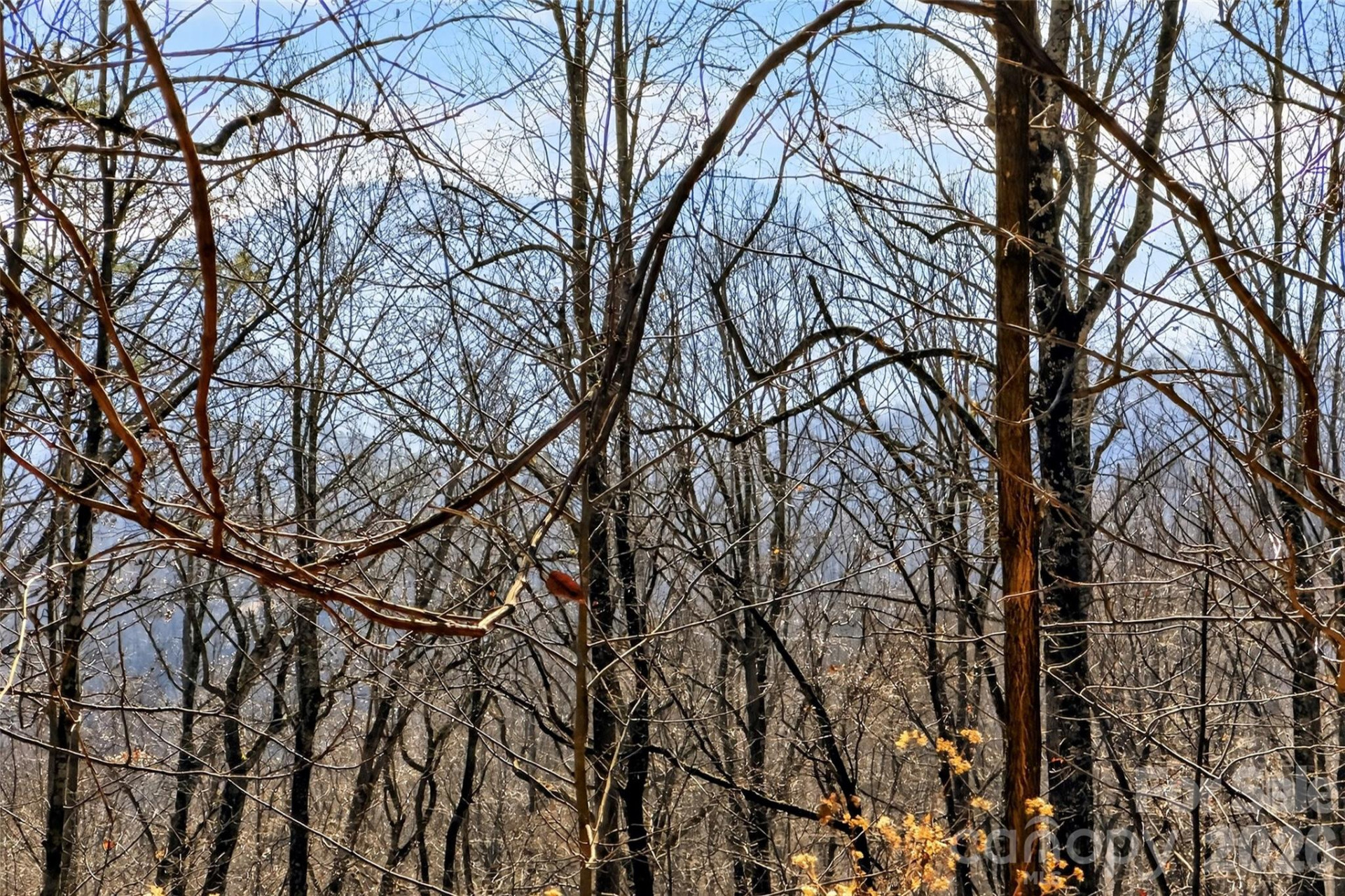 100 Wolf Pen Road - Photo 9