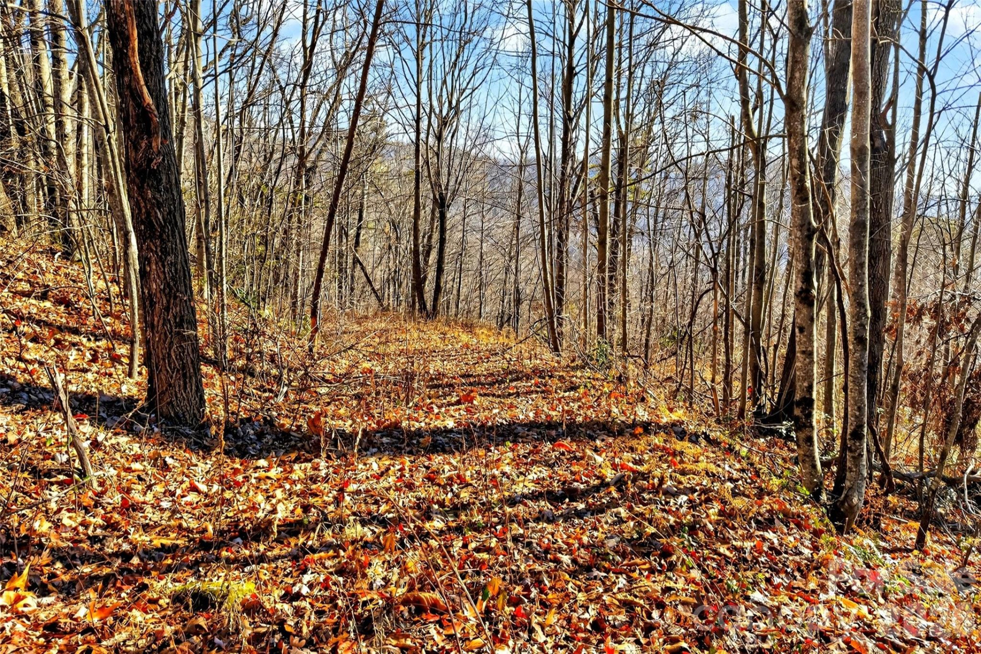 100 Wolf Pen Road - Photo 10