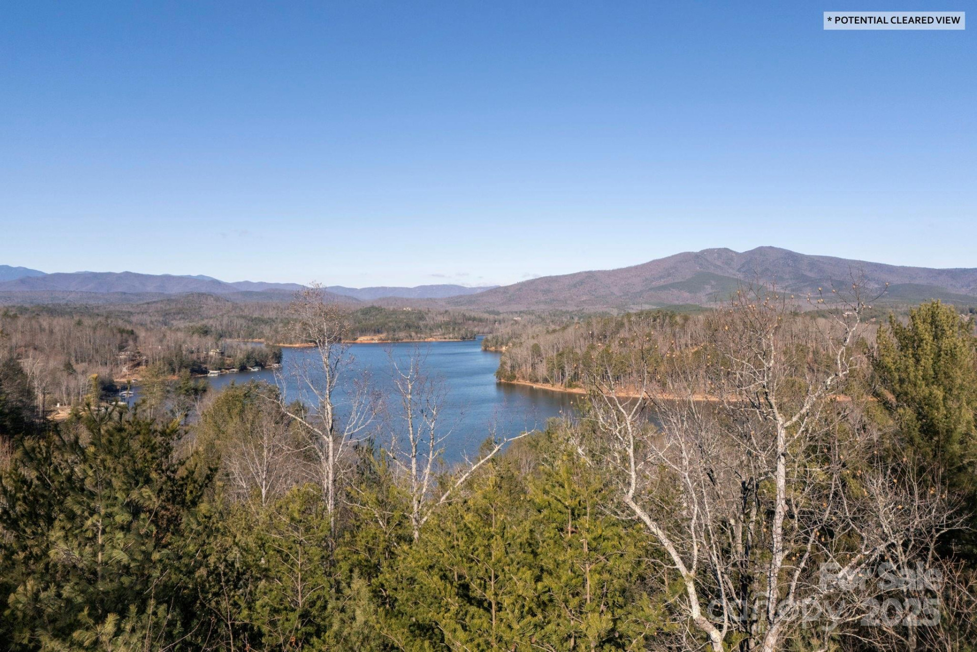 TBD Dockside Drive - Photo 11