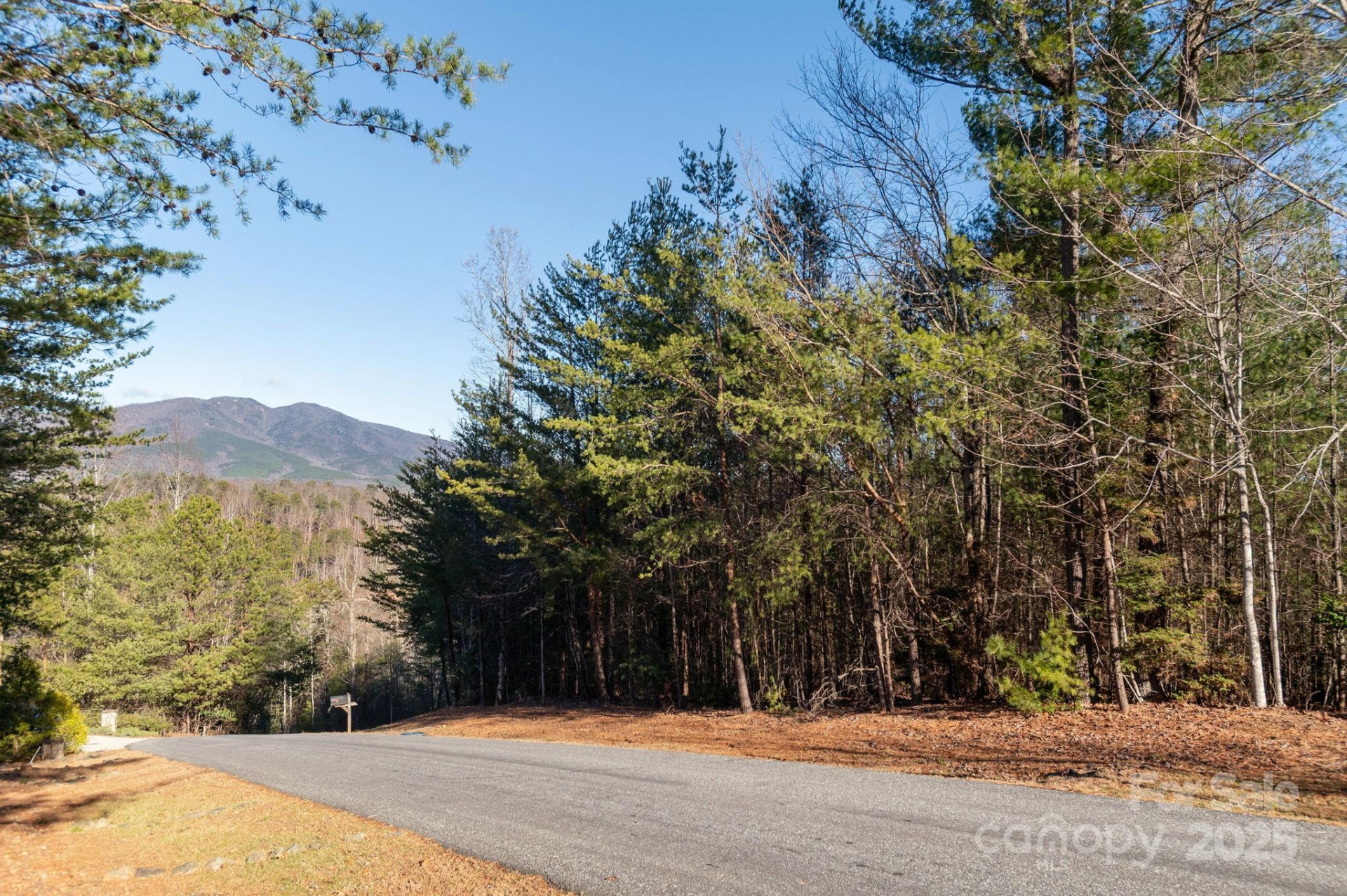 TBD Dockside Drive - Photo 6