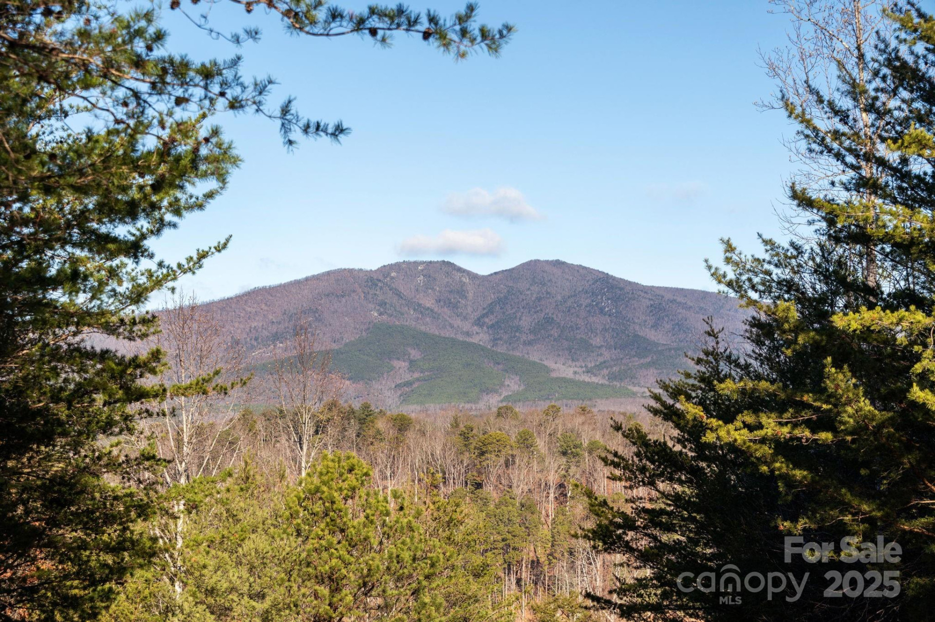 TBD Dockside Drive - Photo 7