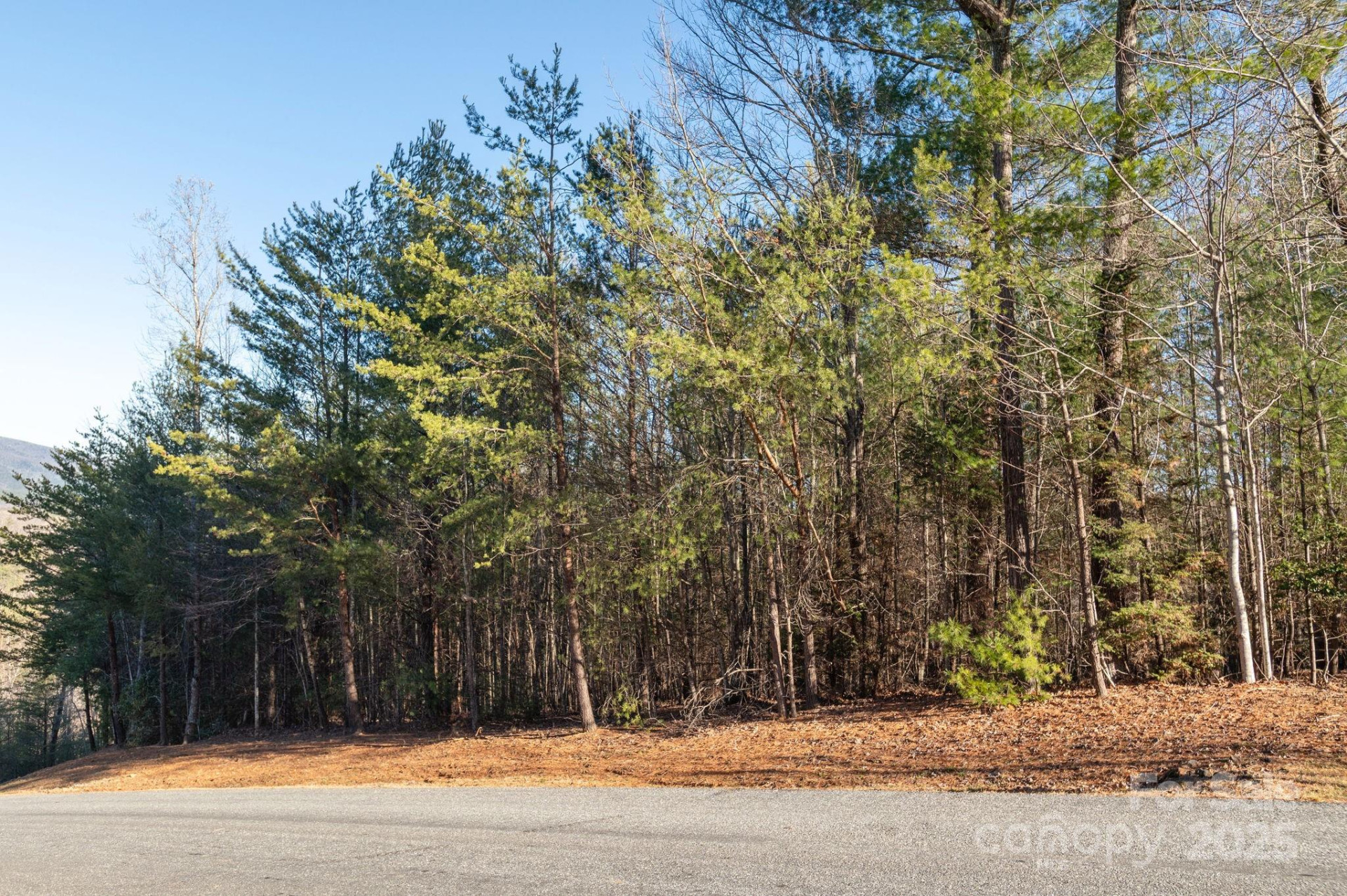 TBD Dockside Drive - Photo 8