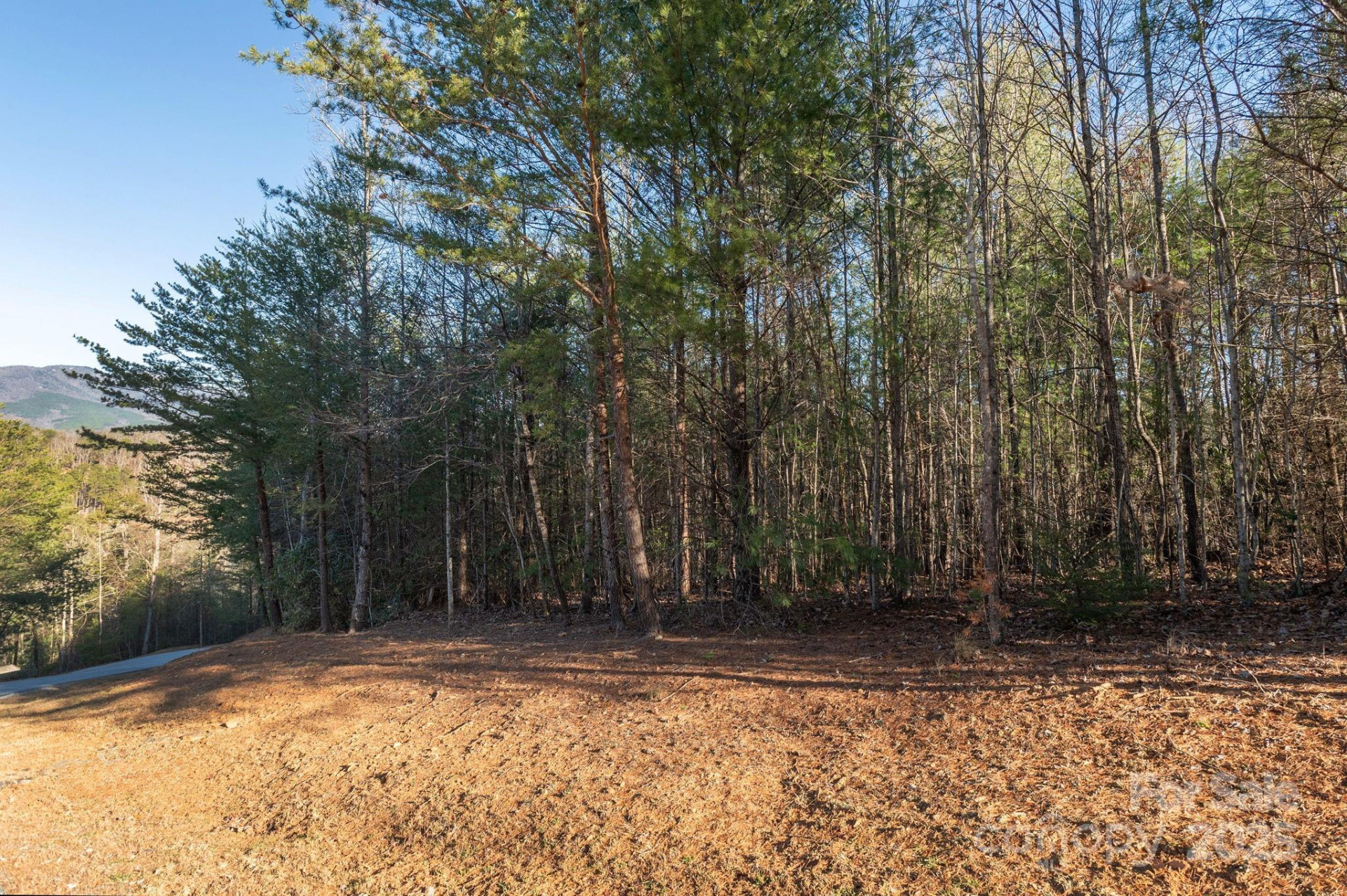 TBD Dockside Drive - Photo 9