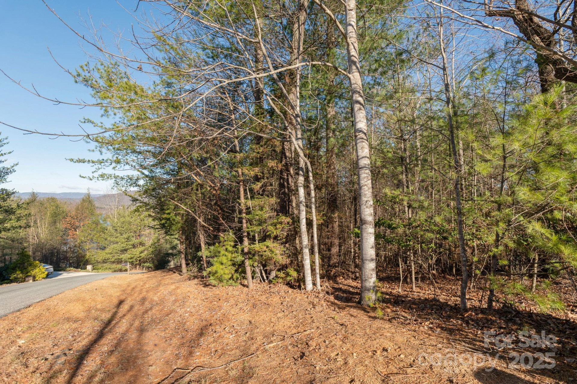 TBD Dockside Drive - Photo 10