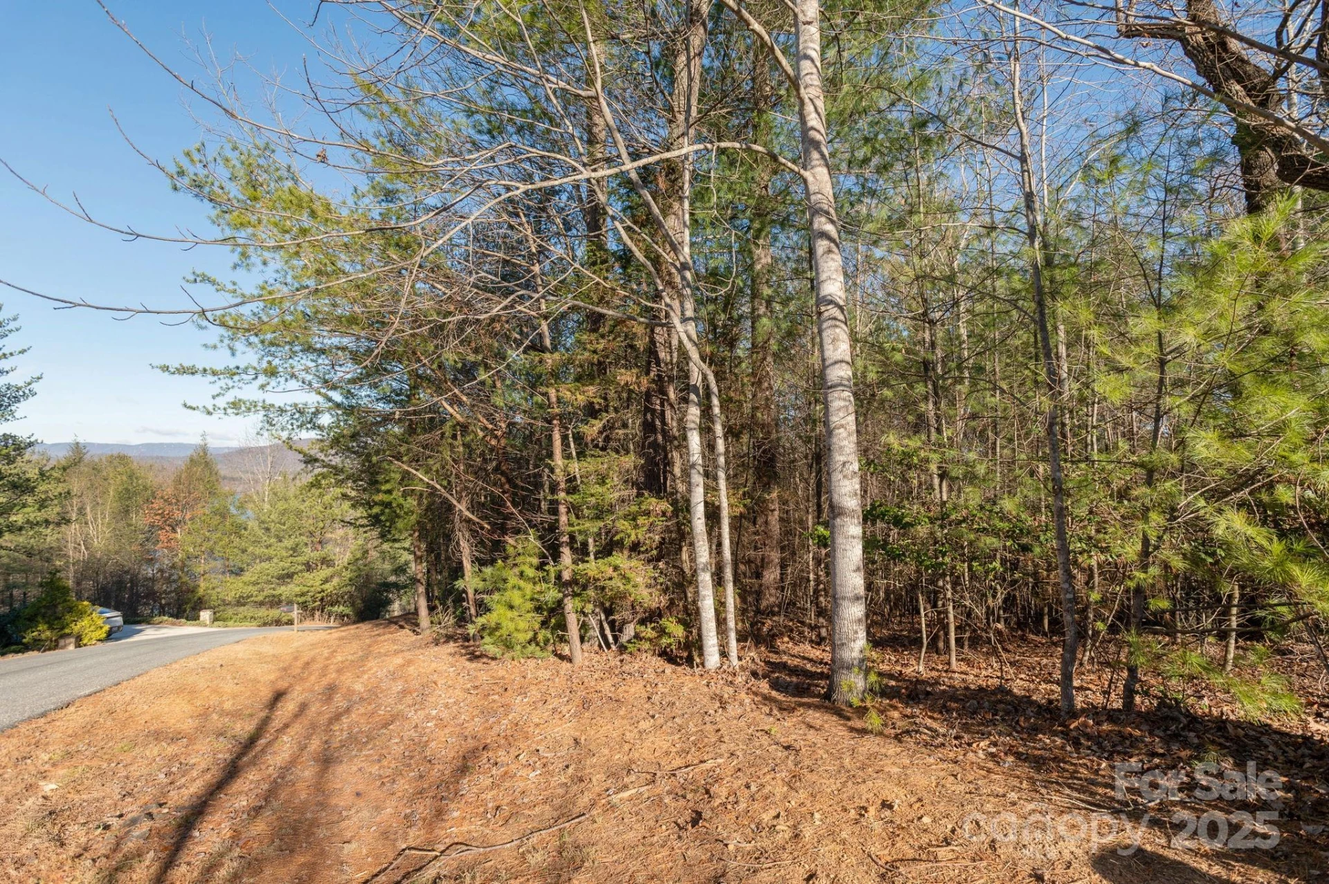 TBD Dockside Drive - Photo 10