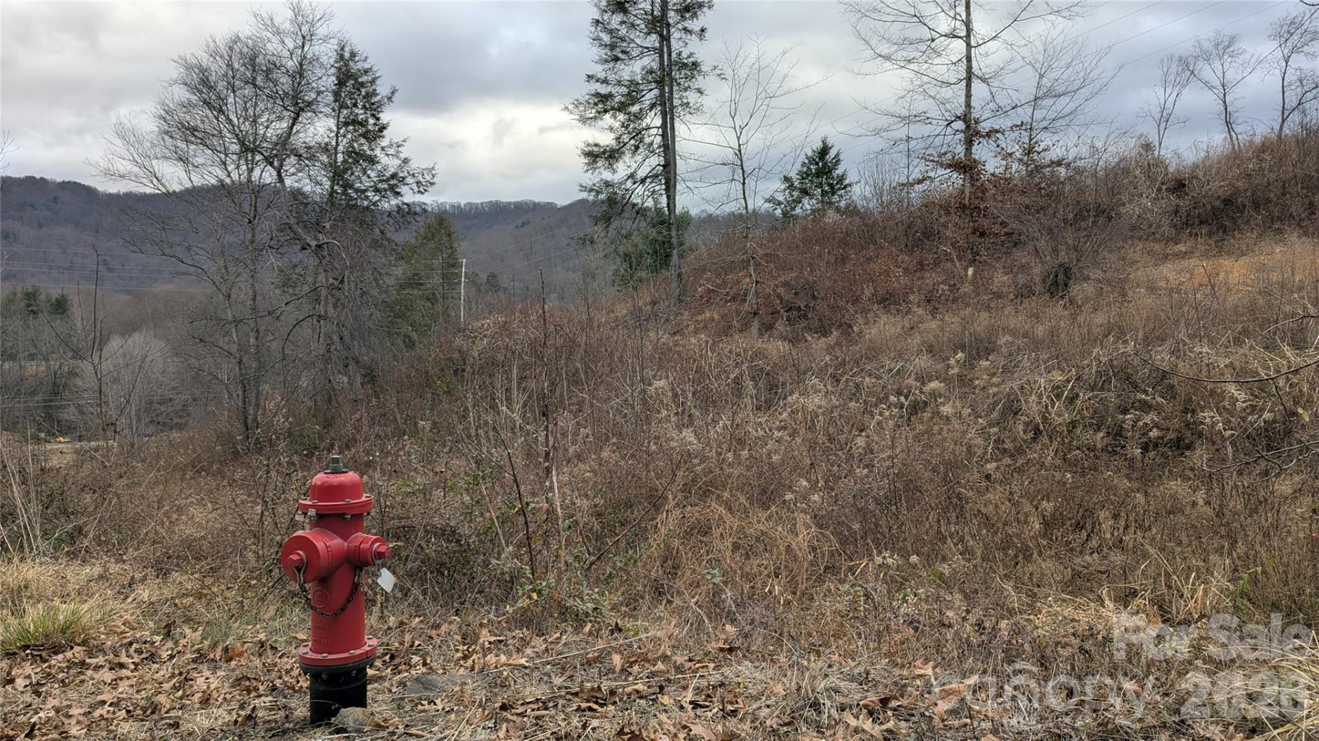 347 Richland Creek Road - Photo 14