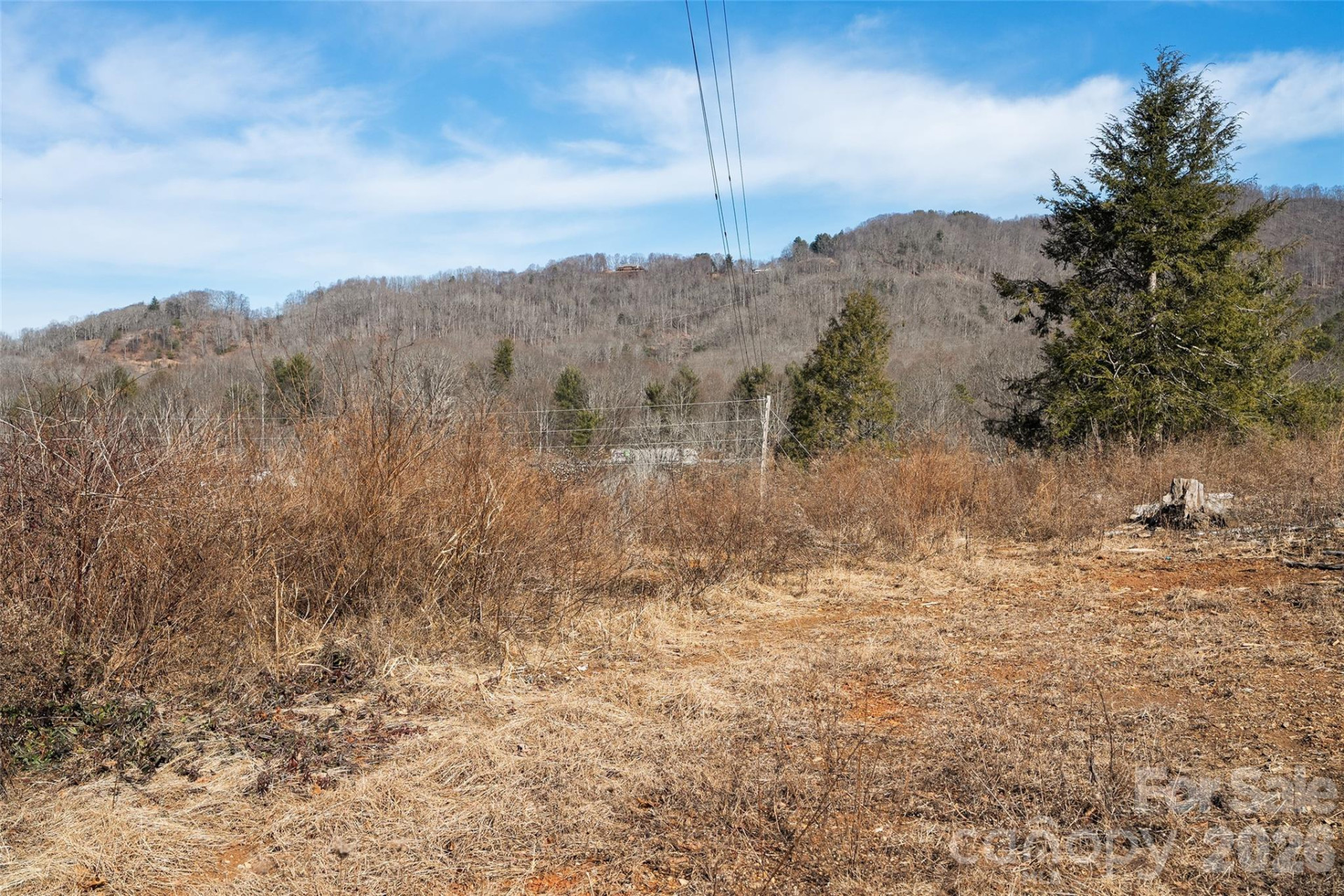 347 Richland Creek Road - Photo 4