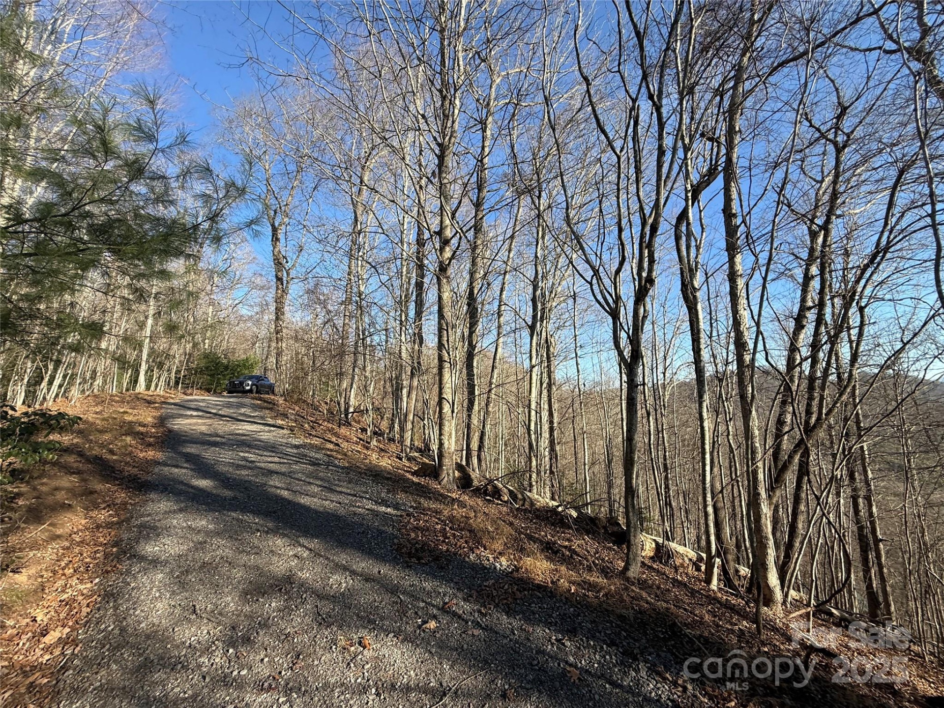 Lot 18 Bugs Bunny Lane #18 - Photo 19