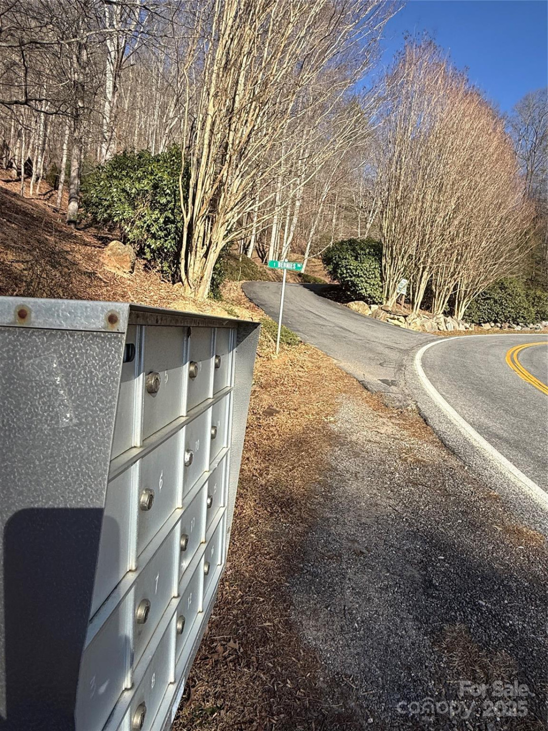 Lot 18 Bugs Bunny Lane #18 - Photo 8