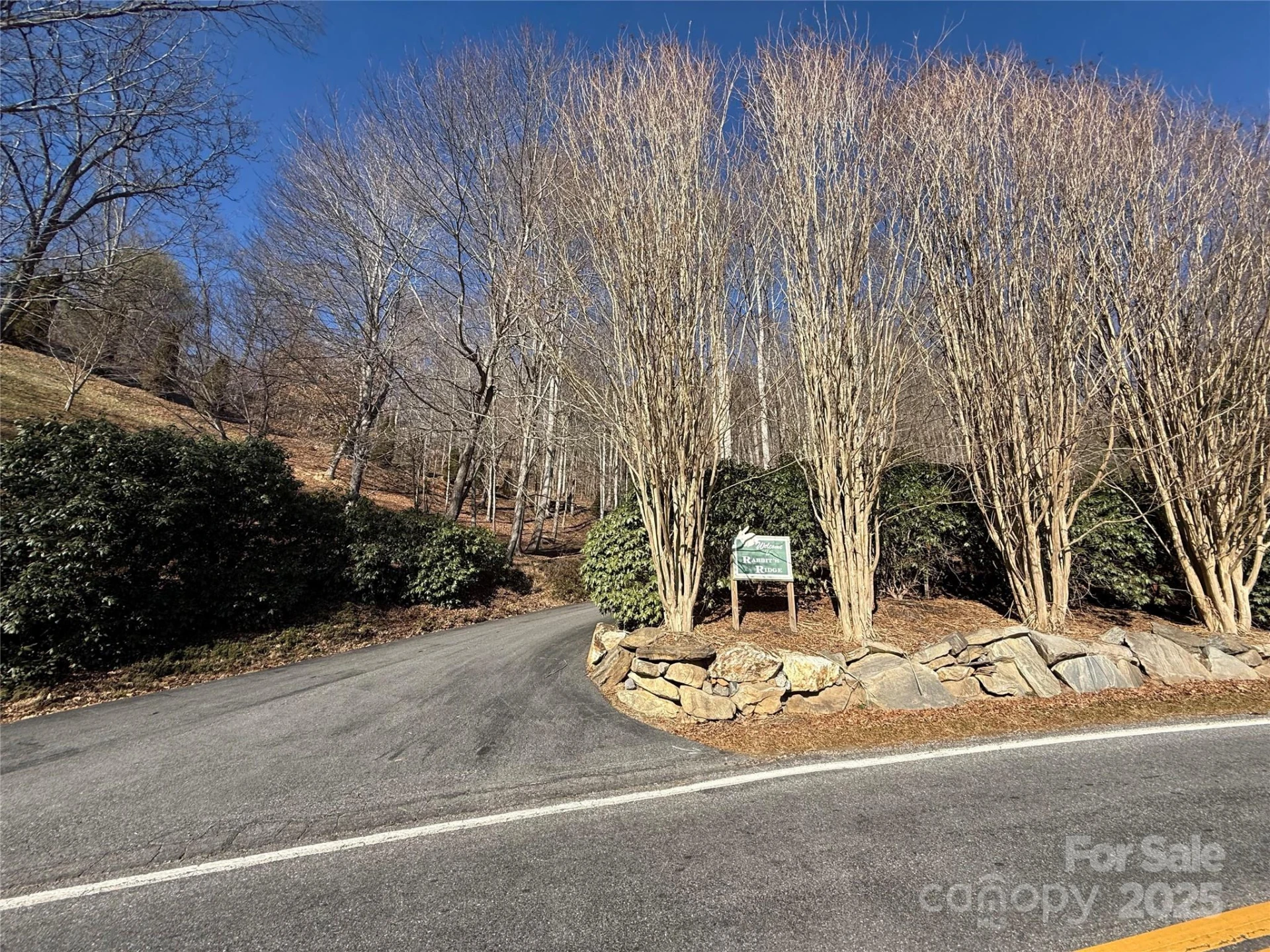 Lot 14 Bernies Trail #14 - Photo 4
