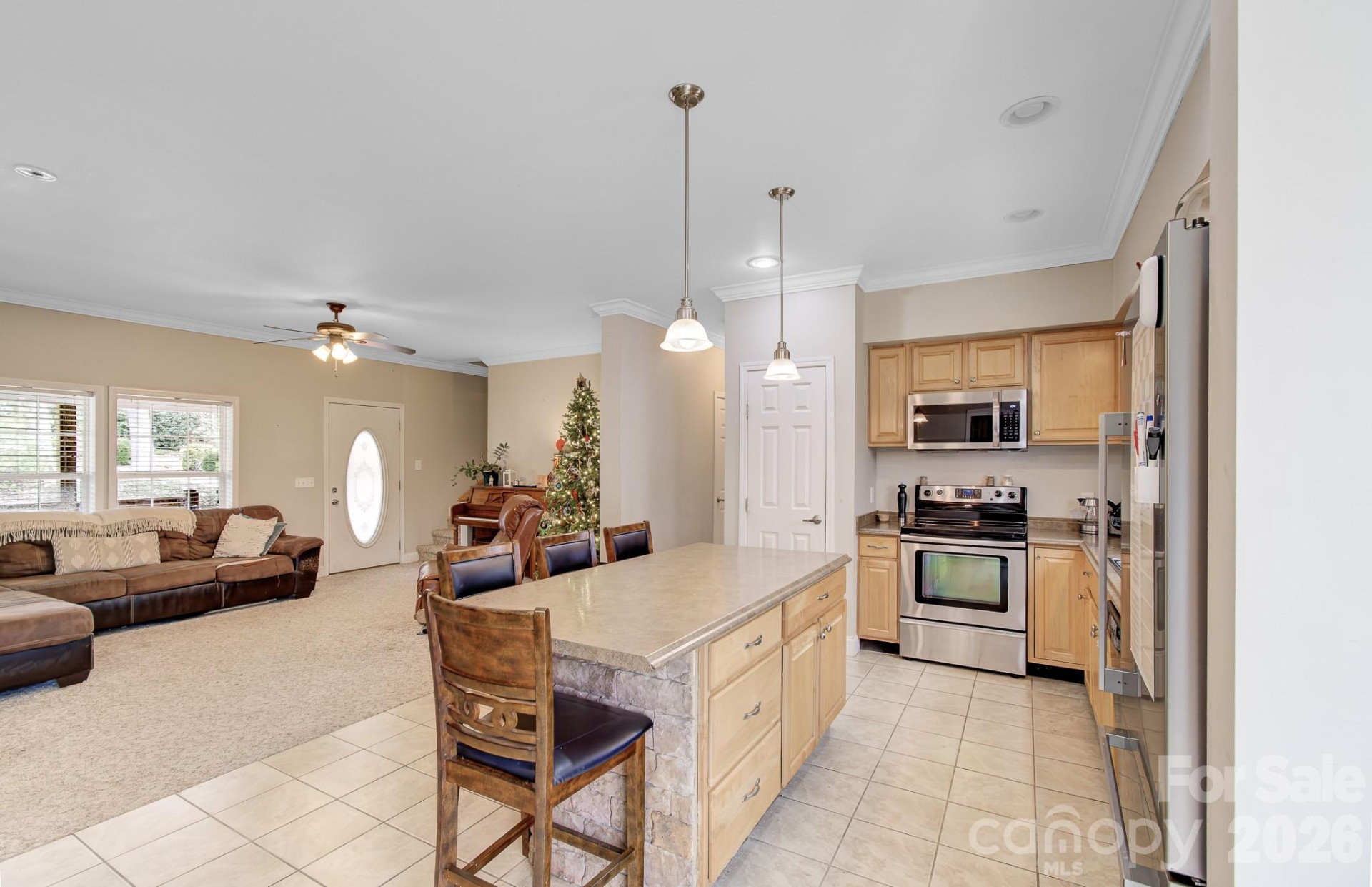 1496 Summit Springs Drive - Photo 3
