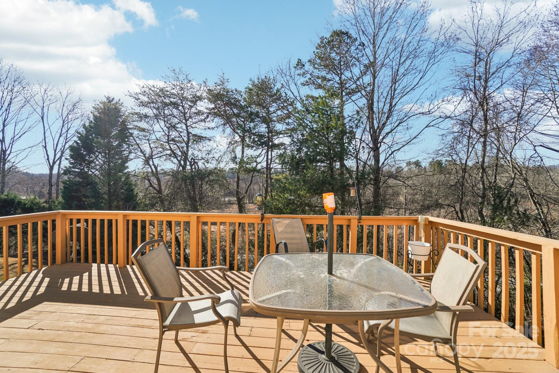 204 Cranbrook Circle - Photo 29