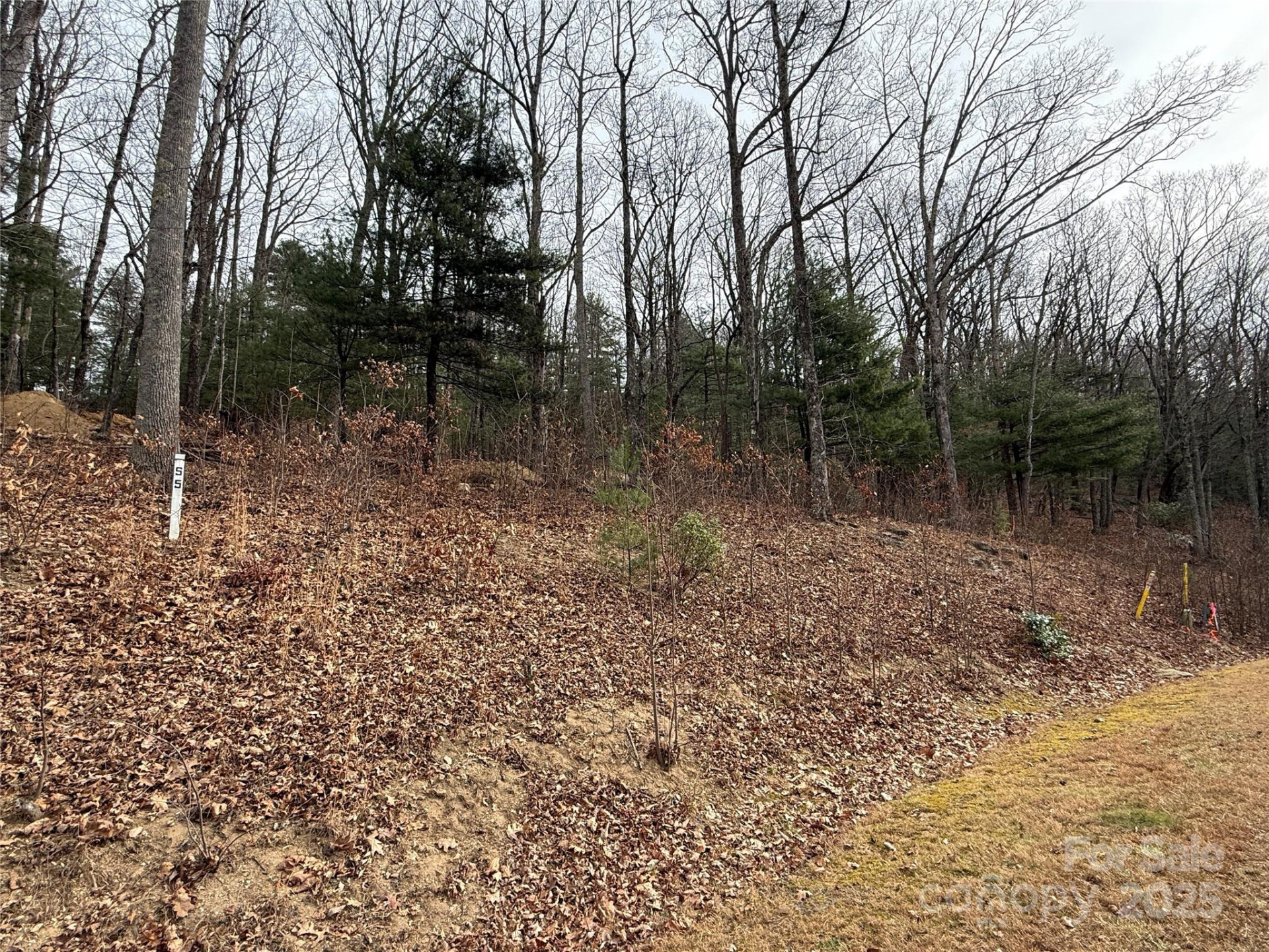 S - 5 Hollybrook Drive #5