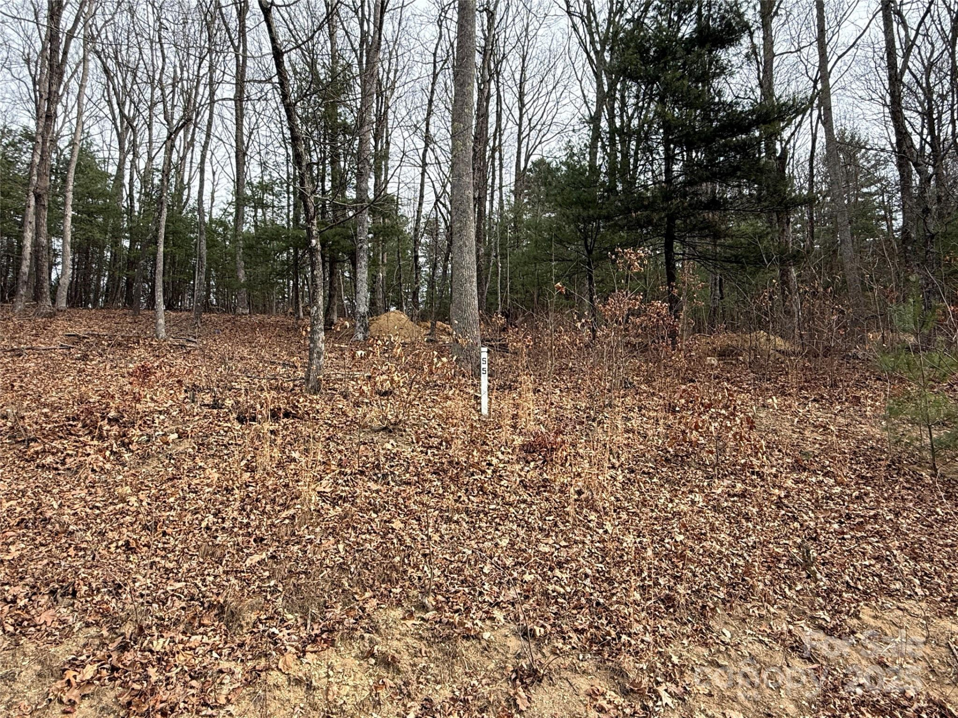 S - 5 Hollybrook Drive #5 - Photo 2
