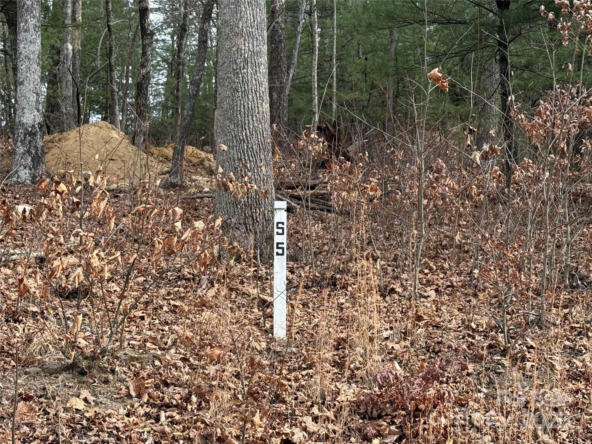 S - 5 Hollybrook Drive #5 - Photo 3