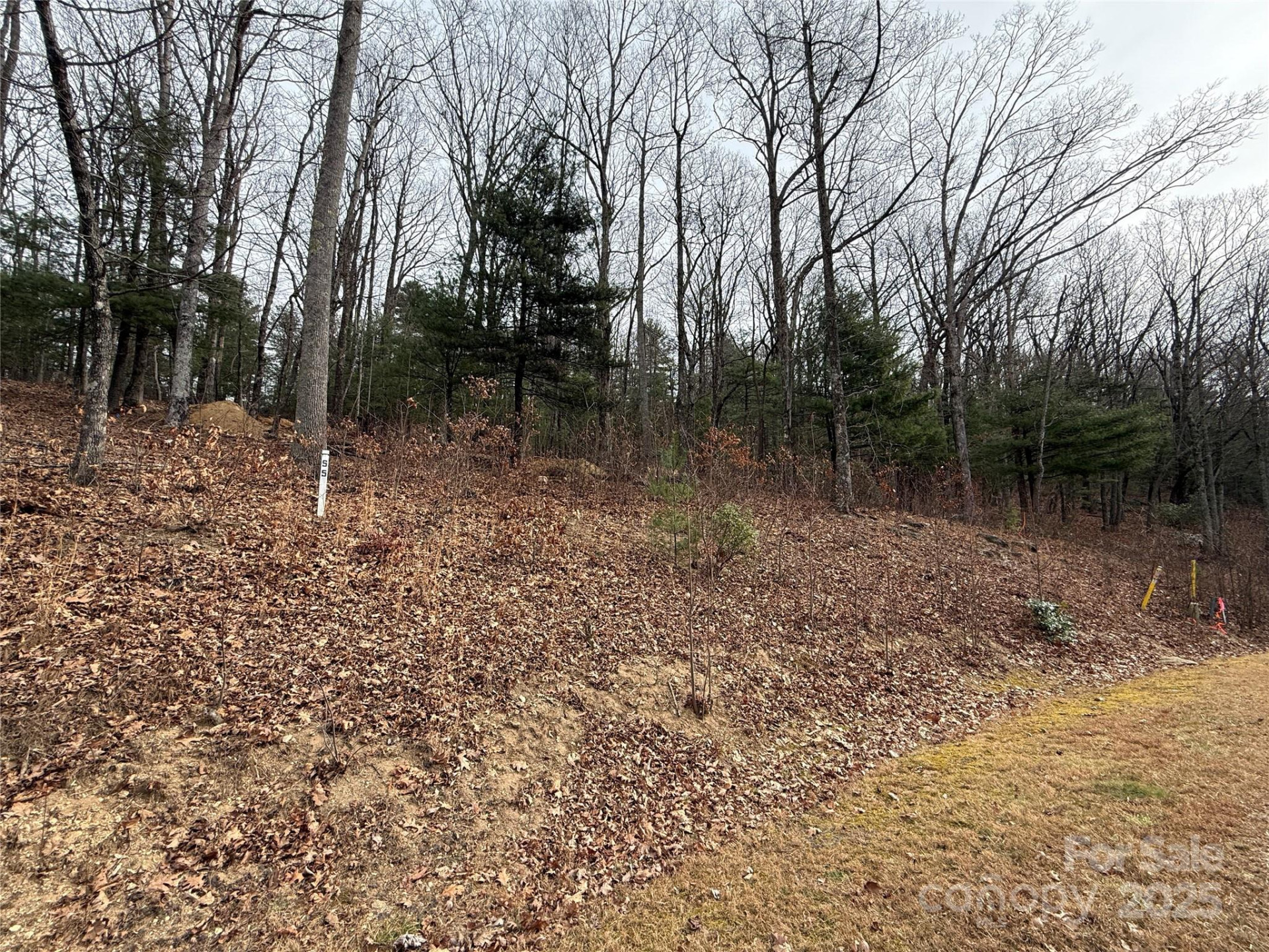 S - 5 Hollybrook Drive #5 - Photo 4
