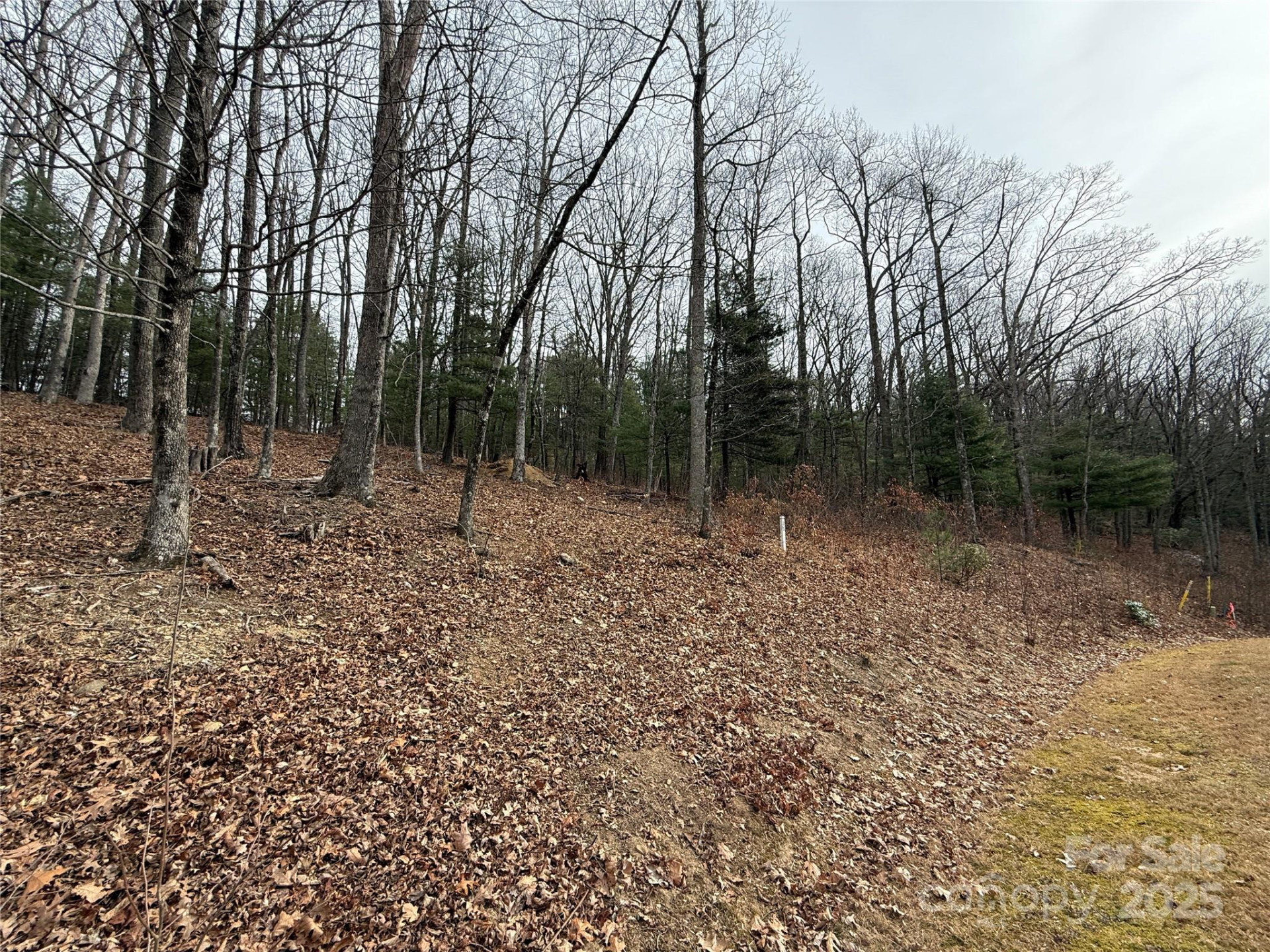 S - 5 Hollybrook Drive #5 - Photo 5