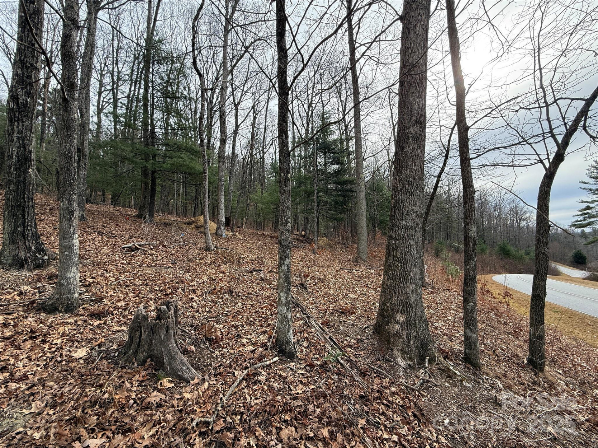 S - 5 Hollybrook Drive #5 - Photo 6