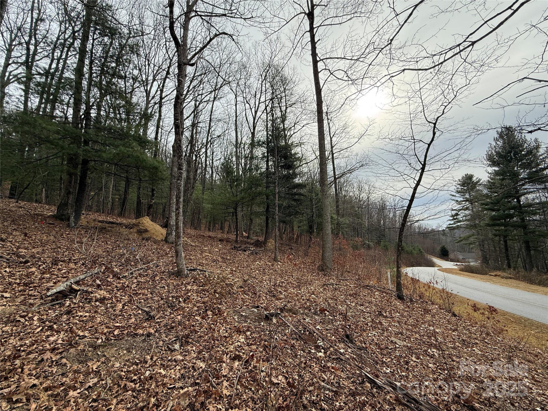 S - 5 Hollybrook Drive #5 - Photo 7