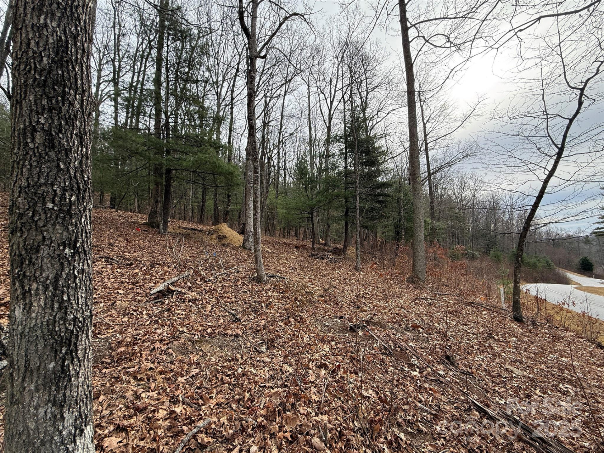 S - 5 Hollybrook Drive #5 - Photo 8
