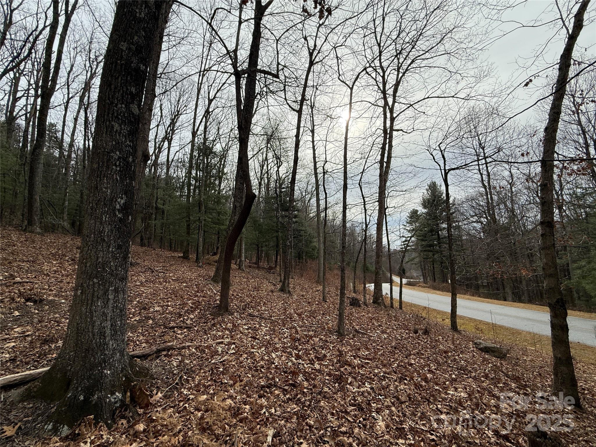 S - 5 Hollybrook Drive #5 - Photo 9
