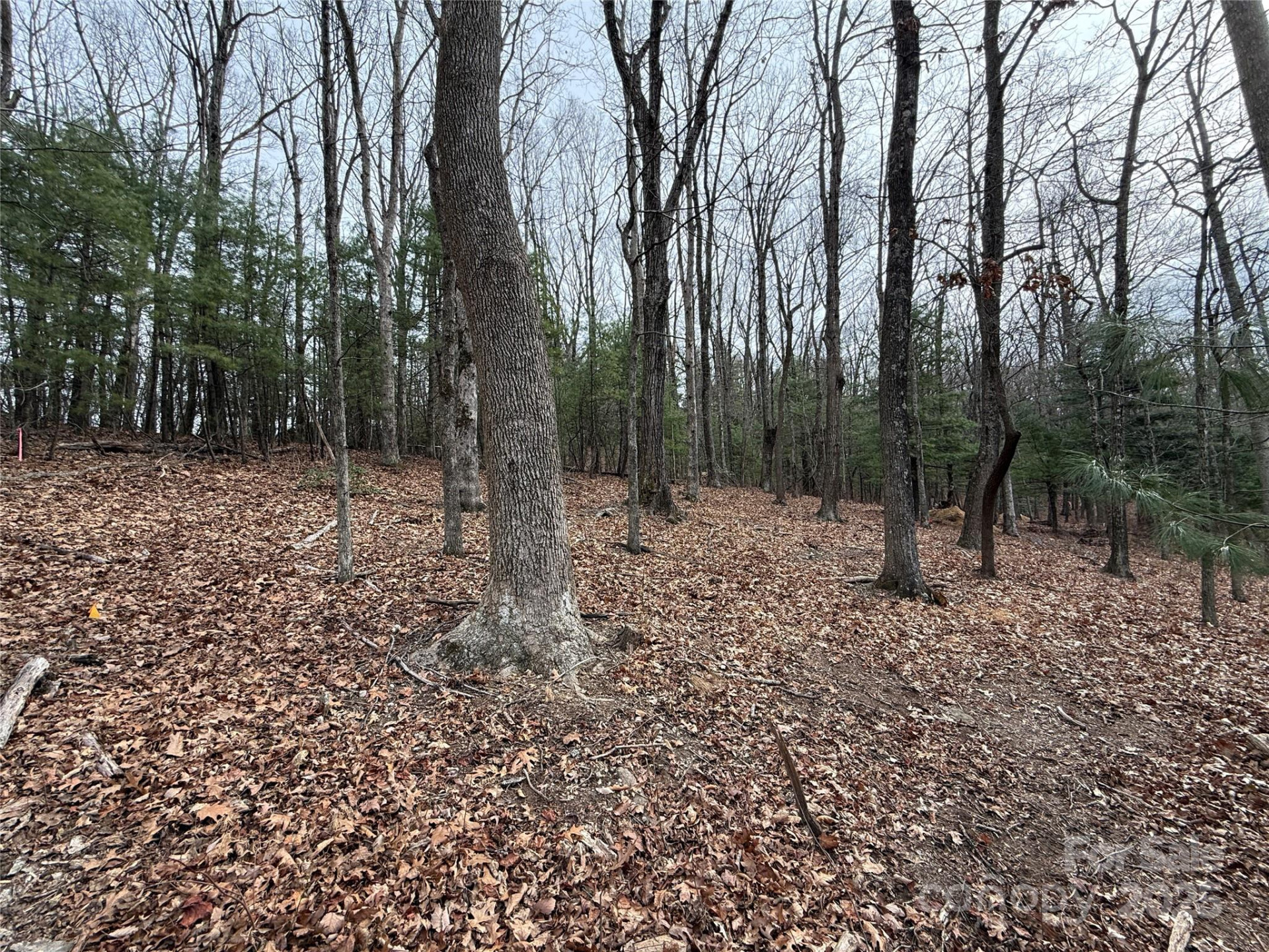 S - 5 Hollybrook Drive #5 - Photo 10