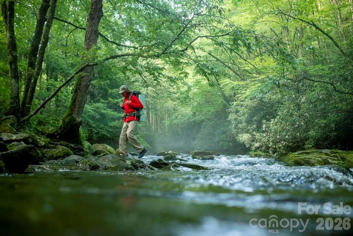 40 Country Bear Lane - Photo 45