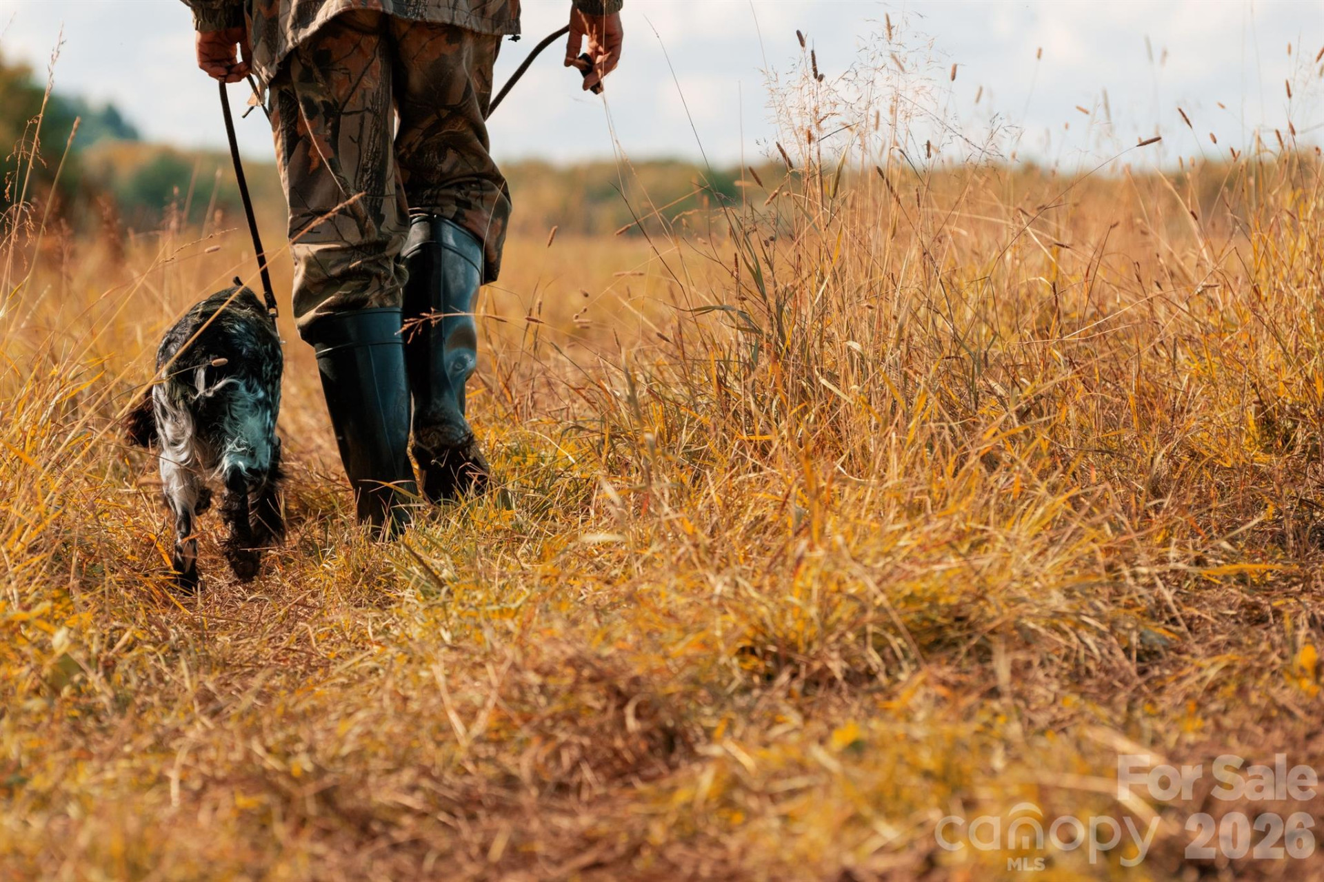 40 Country Bear Lane - Photo 46