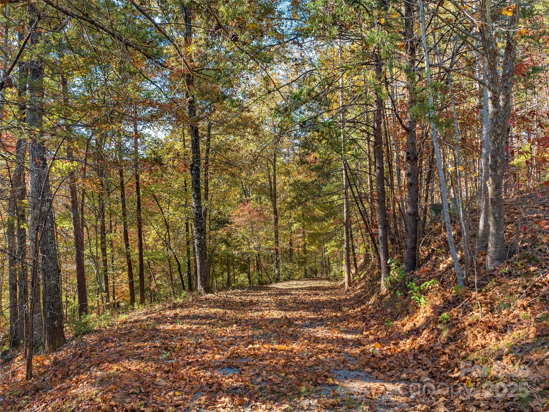 000 South Cove Road #17 - Photo 2