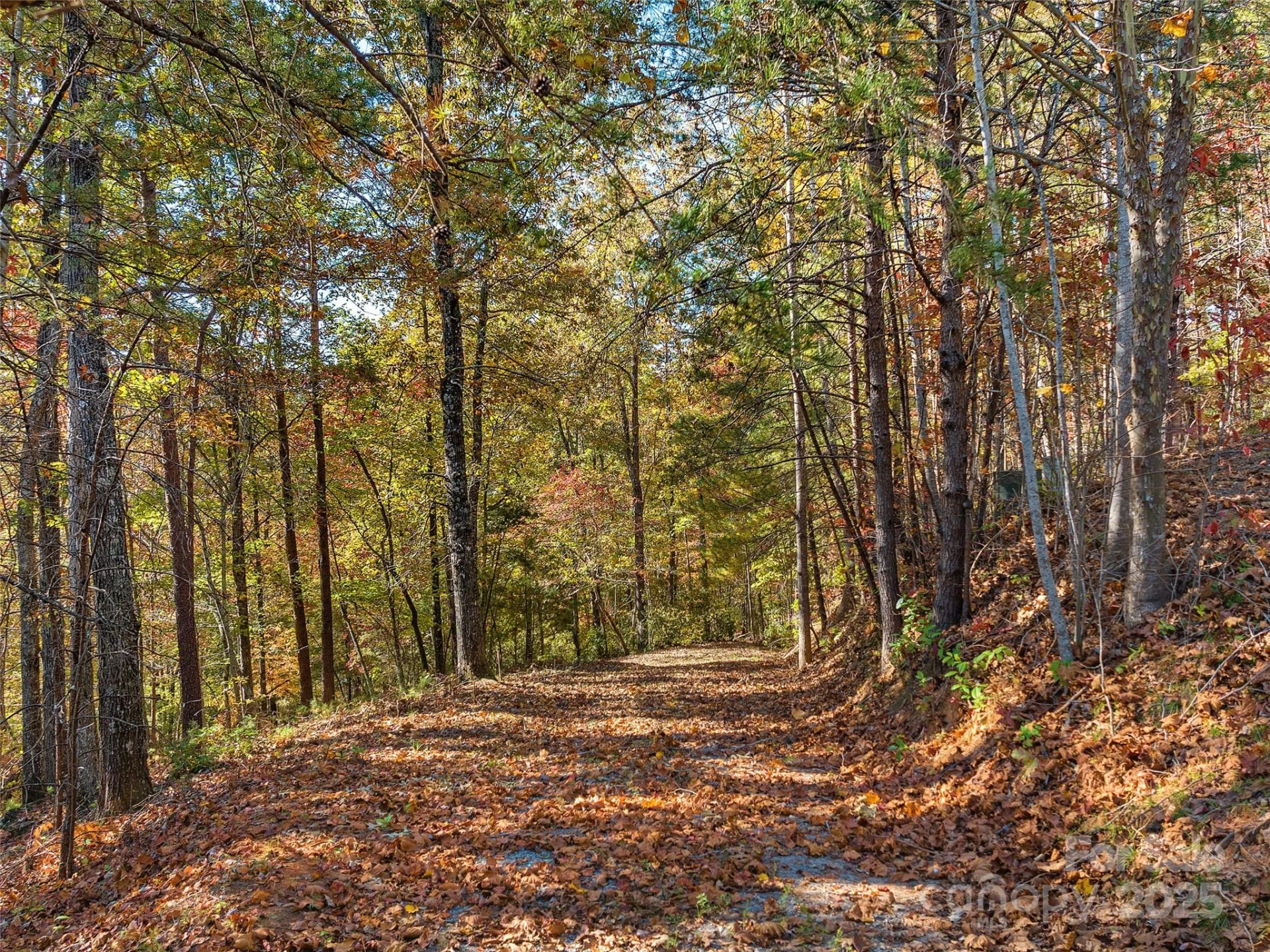 000 South Cove Road #17 - Photo 2