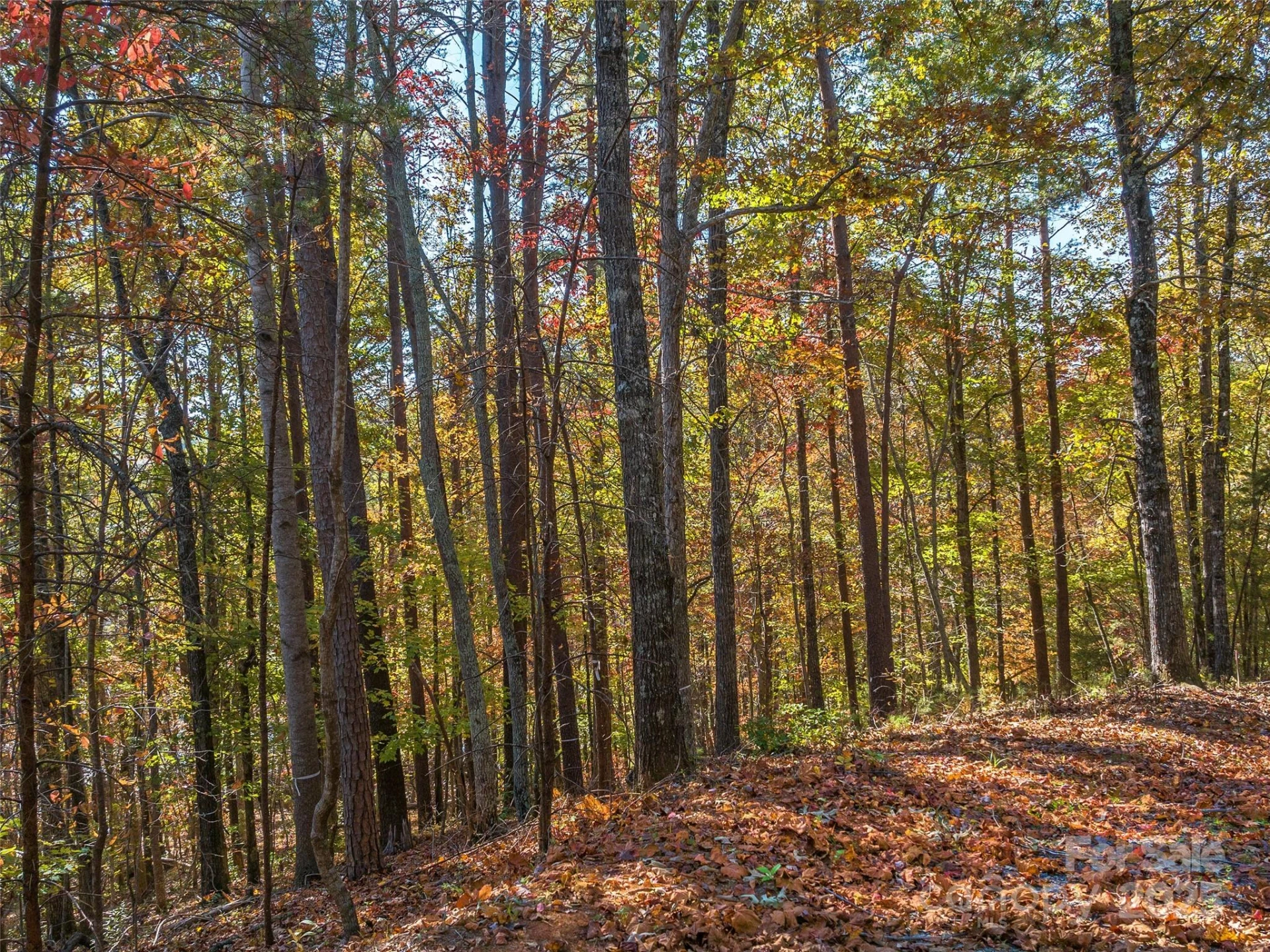 000 South Cove Road #17 - Photo 12