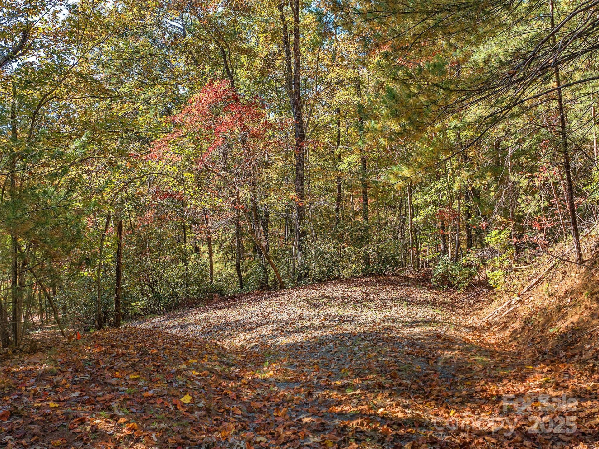 000 South Cove Road #17 - Photo 14