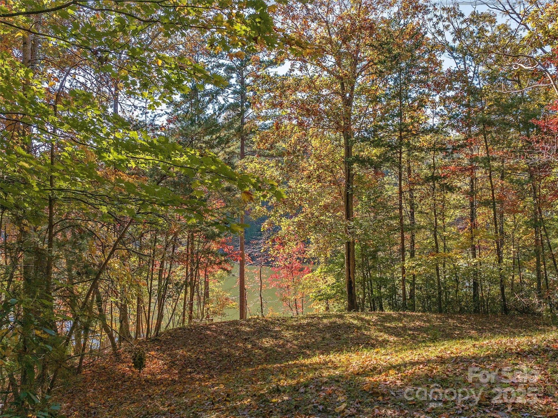 000 South Cove Road #17 - Photo 17