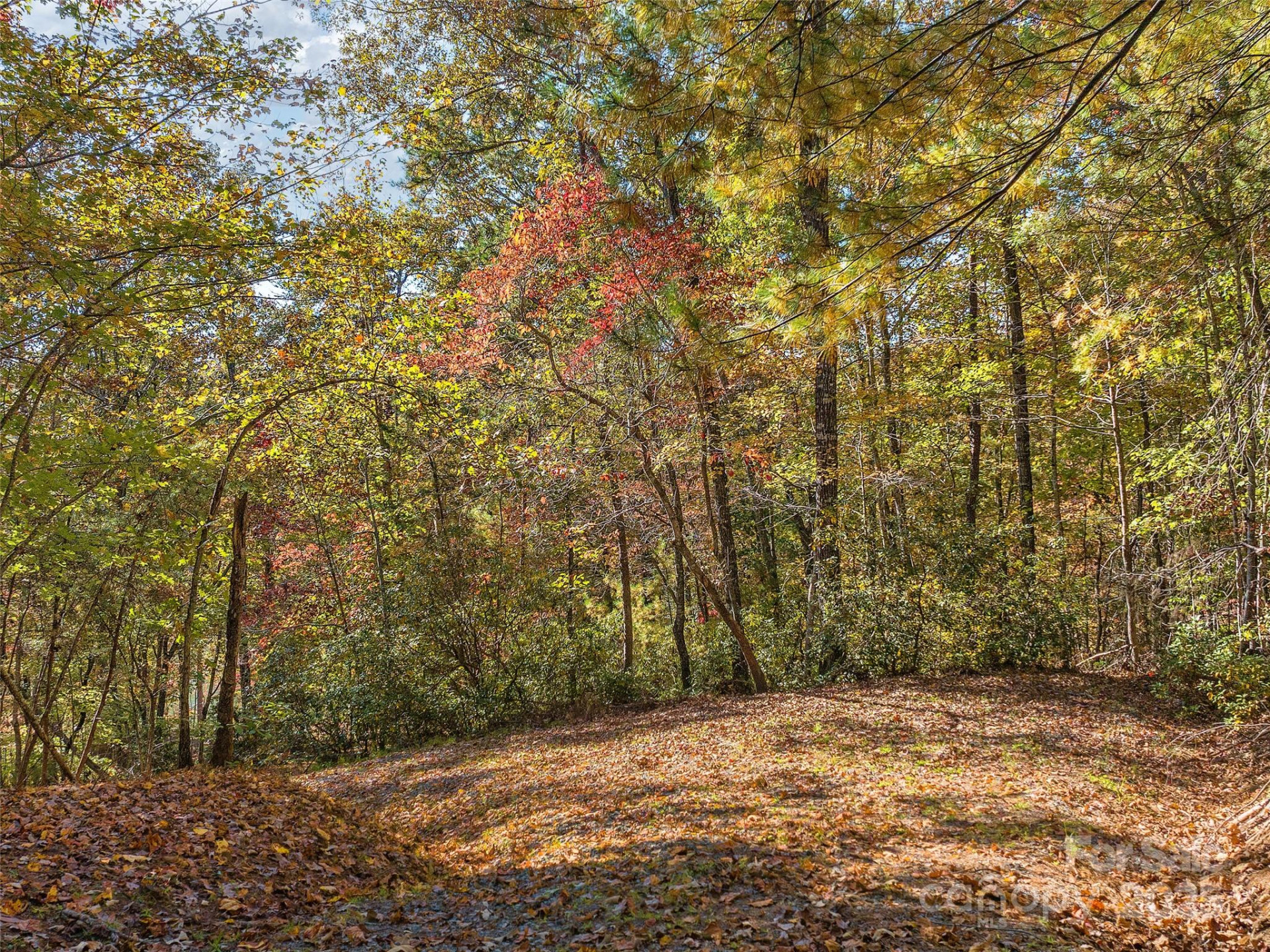 000 South Cove Road #17 - Photo 3