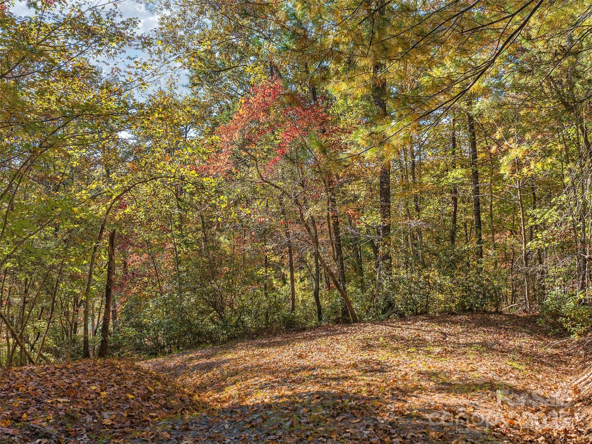 000 South Cove Road #17 - Photo 3